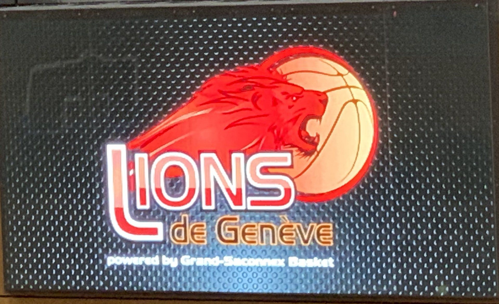 Un logo pour l'équipe de basket-ball des Lions de Genève