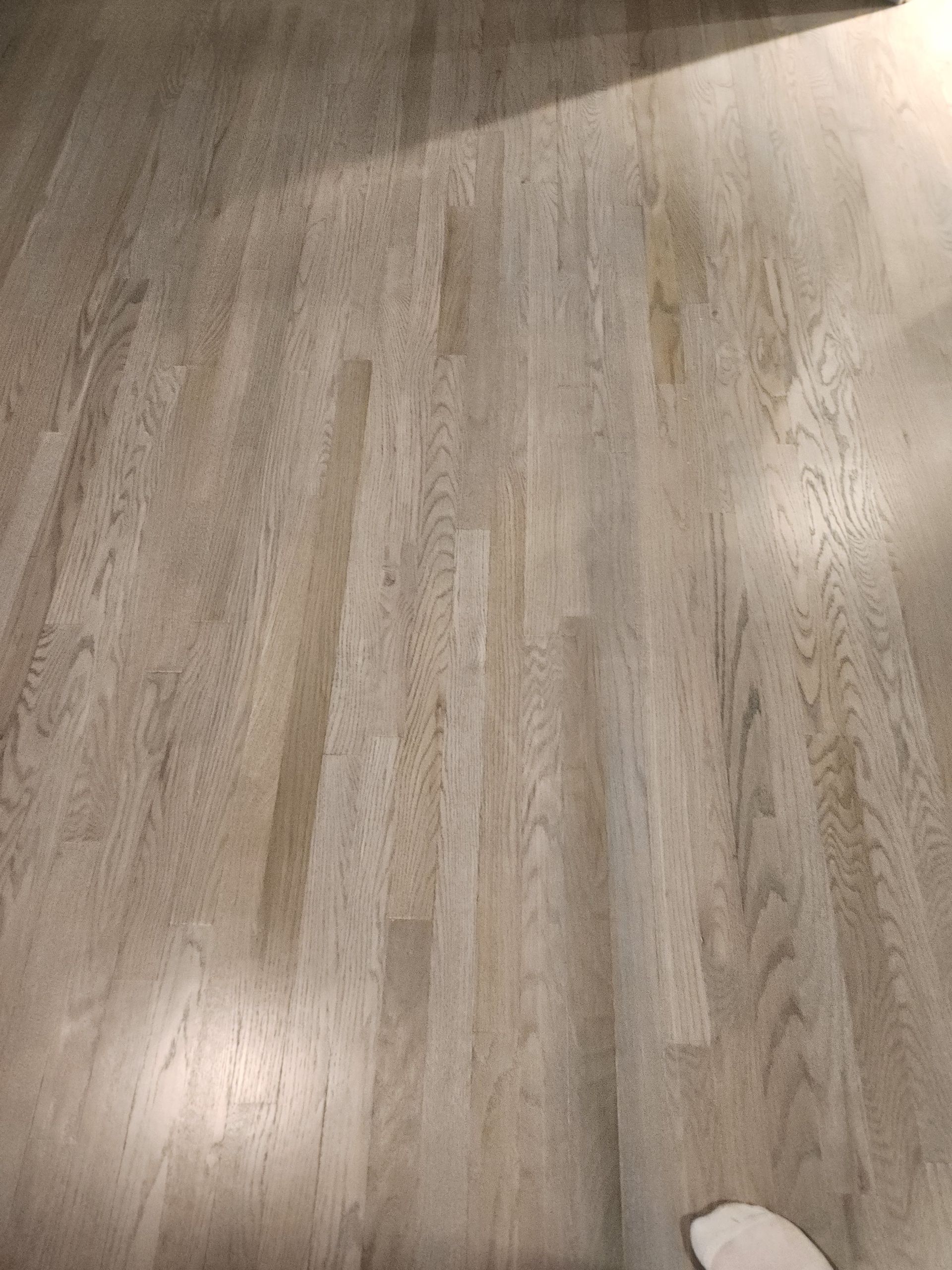 Light-colored wooden floorboards with visible grain and a sunlit area.