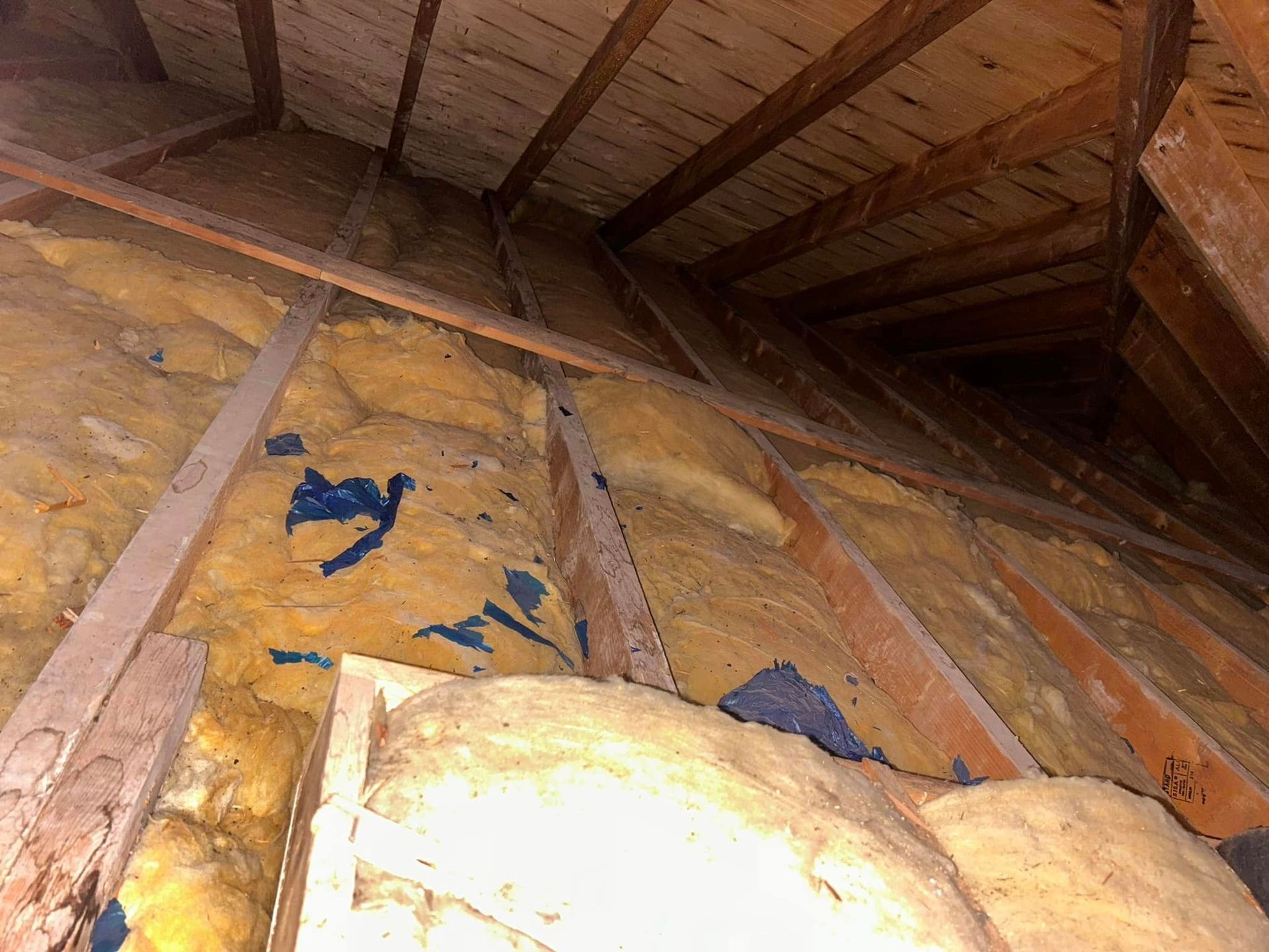 Attic with yellow insulation between wooden rafters; blue staining visible.