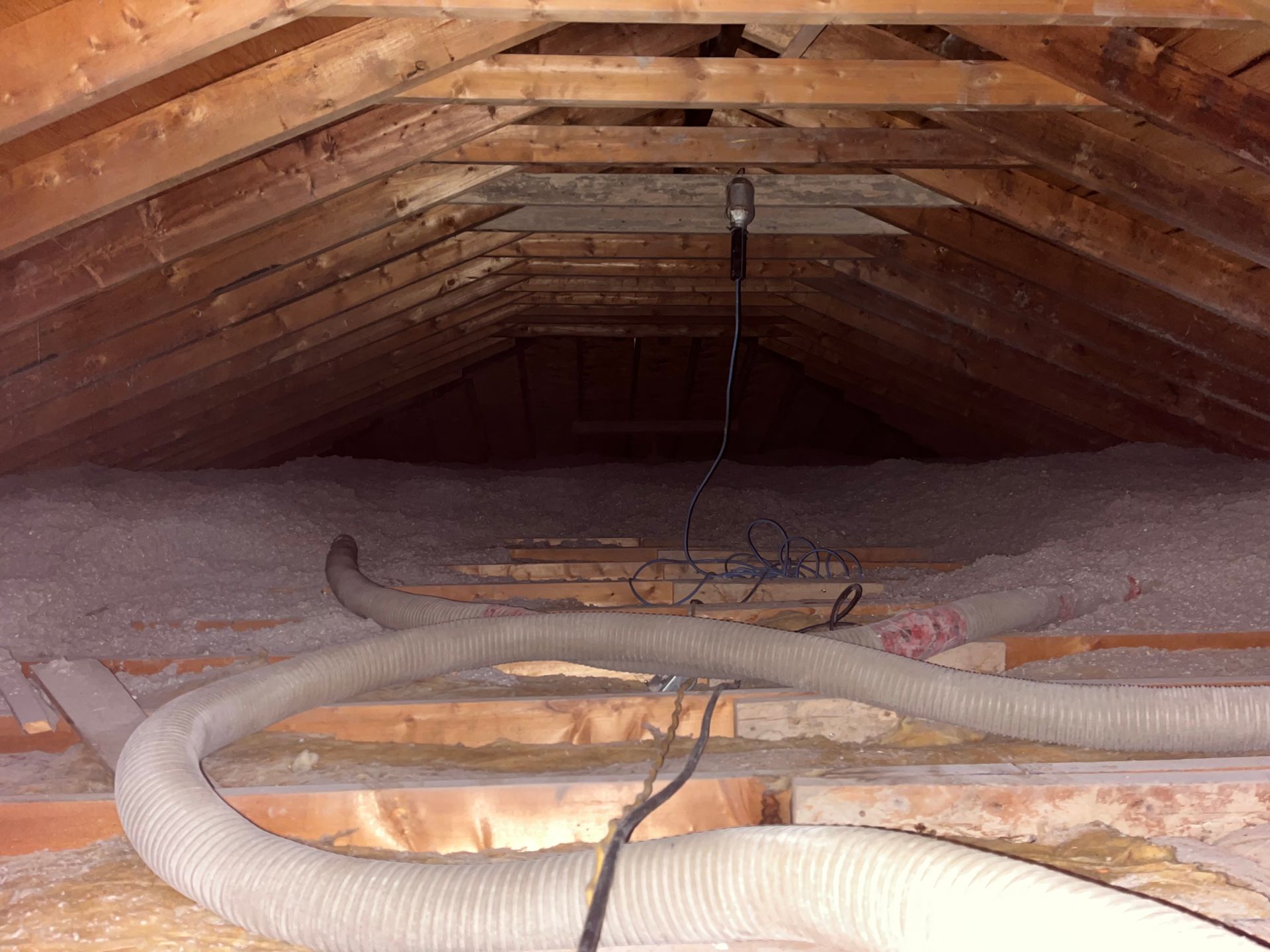Attic with insulation, wooden beams, and a flexible vent hose.