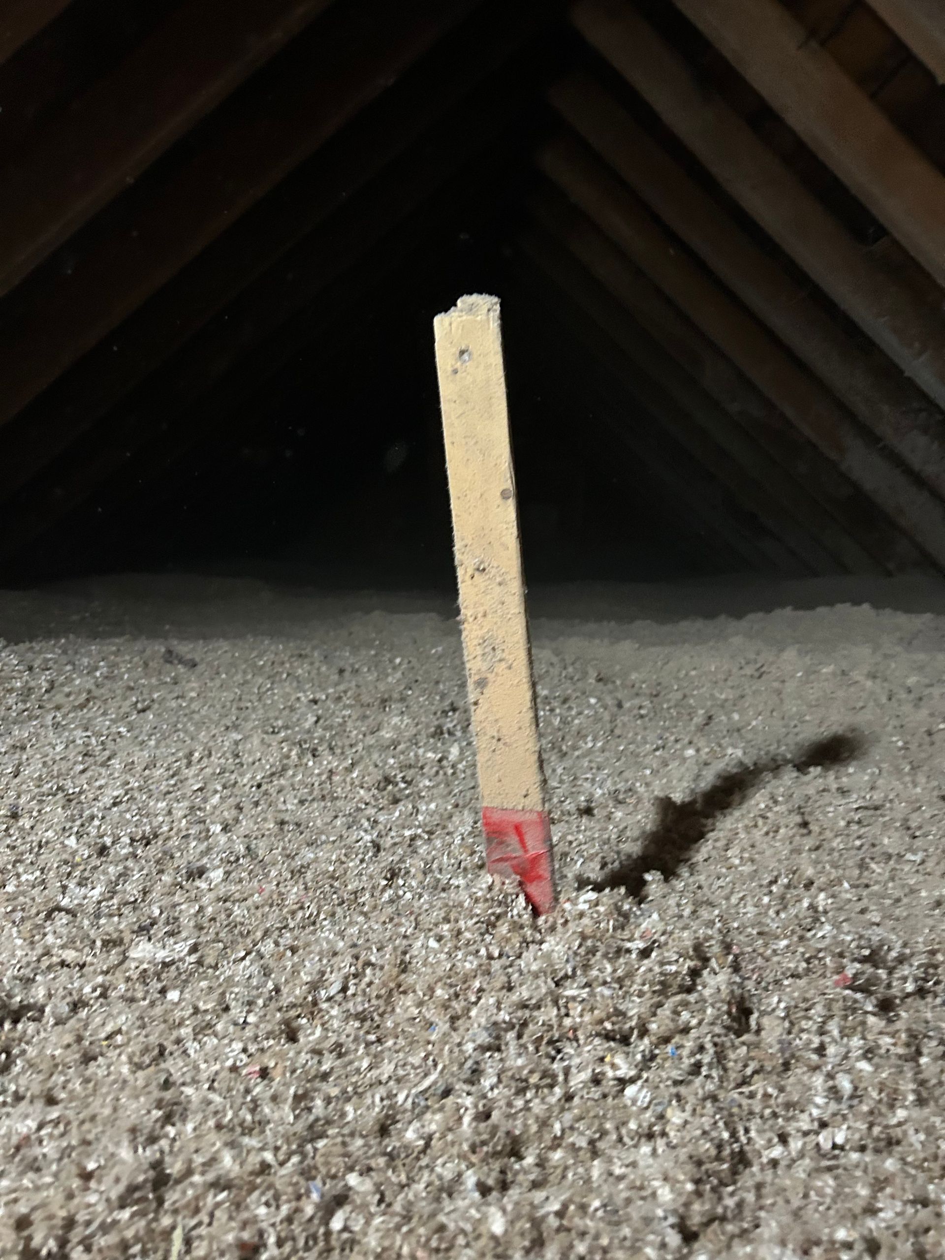 Inside an attic, a wooden stake with red tip stands in gray insulation.