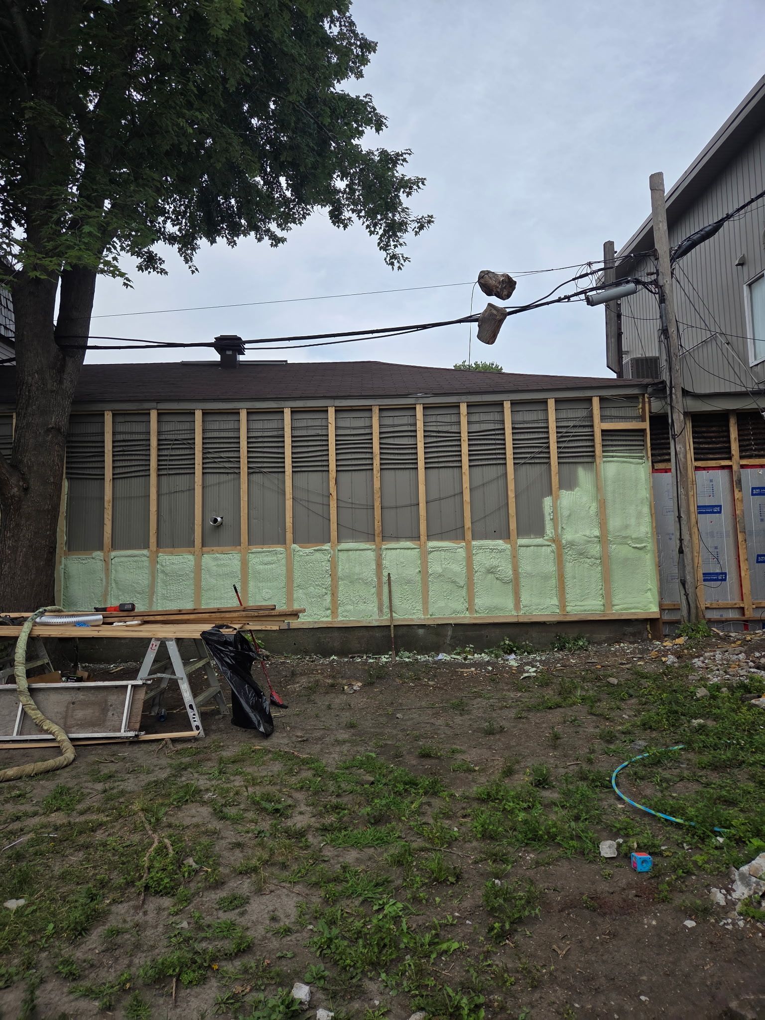 Exterior wall under construction, with wood framing, insulation, and a tree to the left.