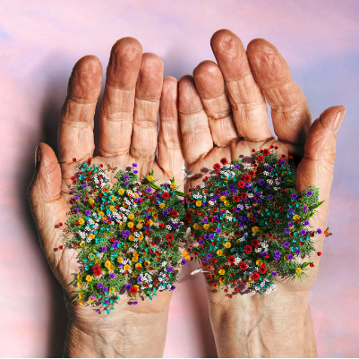 A person is holding a bunch of flowers in their hands