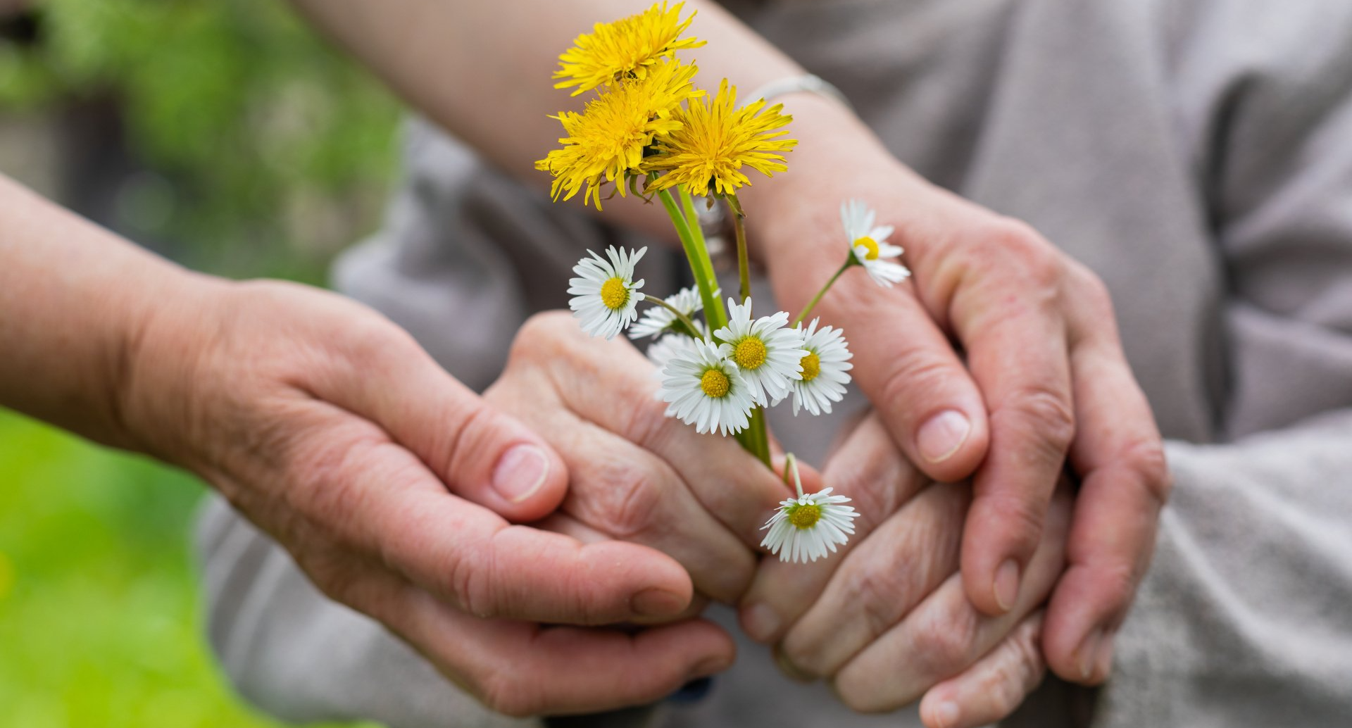 A person is holding a bunch of flowers in their hands.