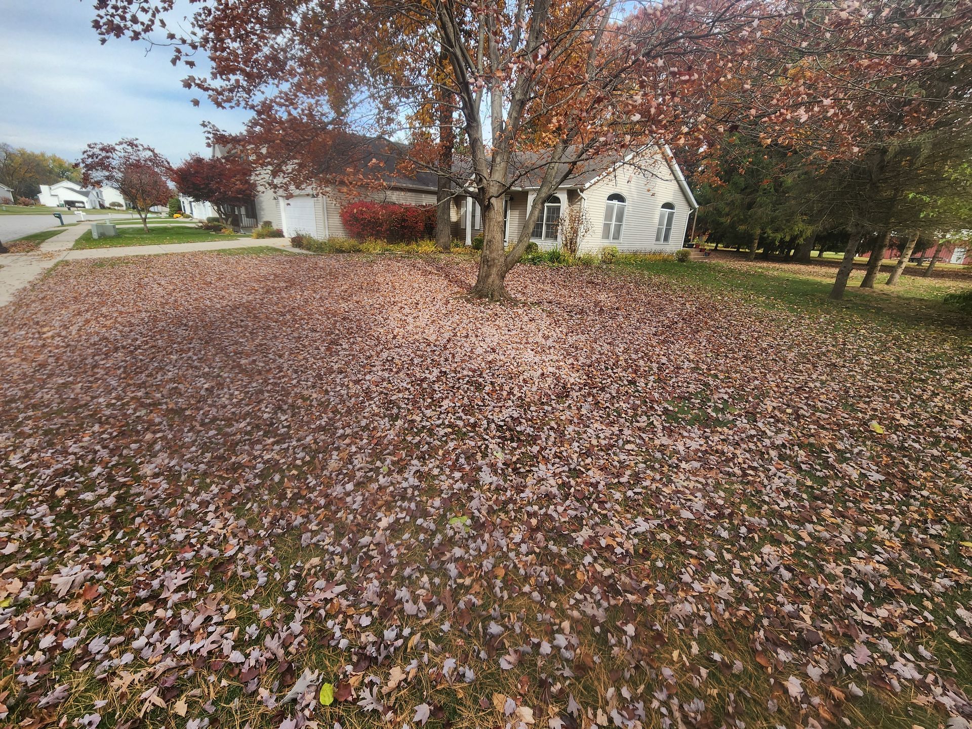 A lot of leaves are laying on the ground in front of a house.