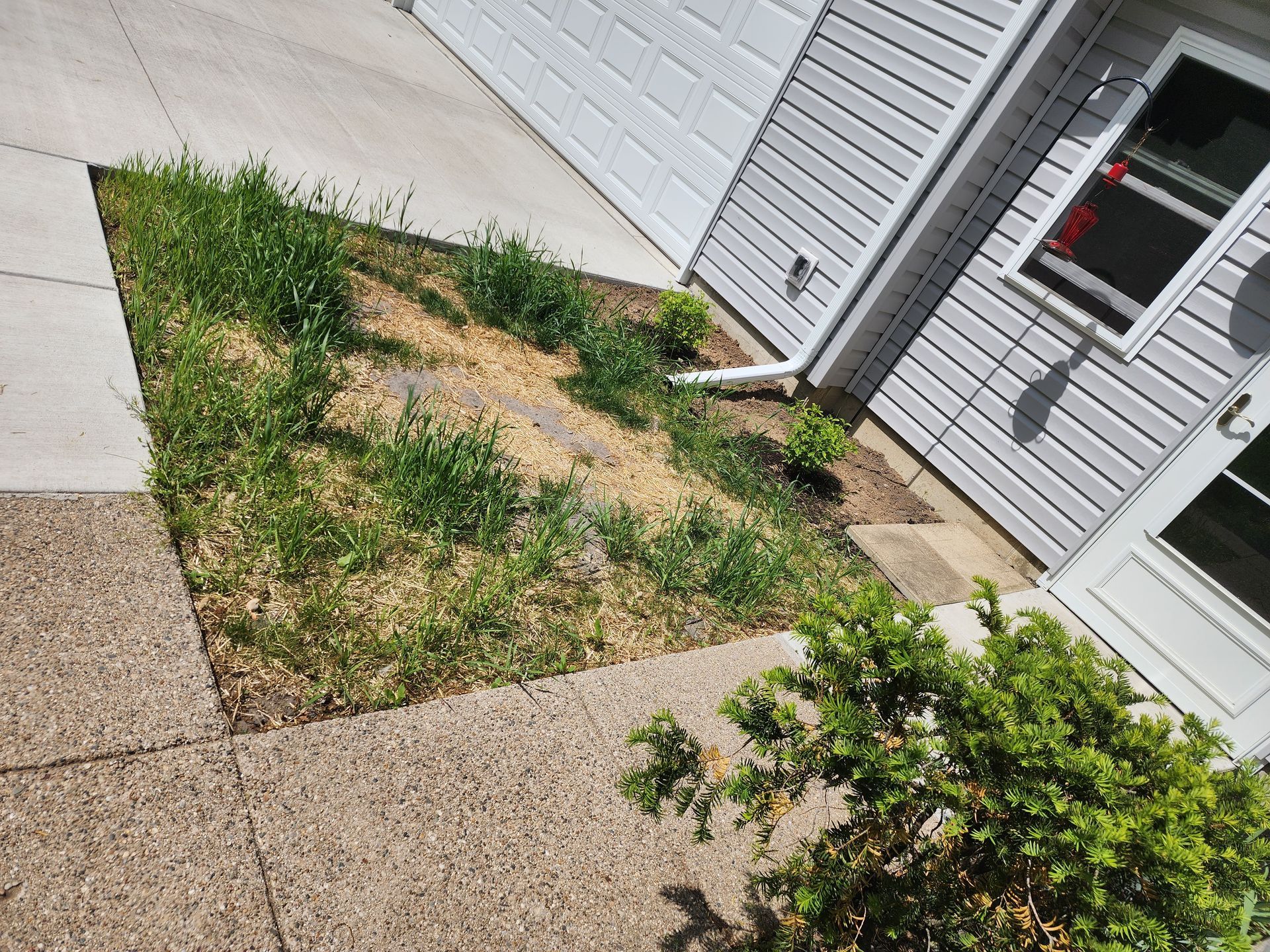 A house with a concrete walkway and a grassy area in front of it