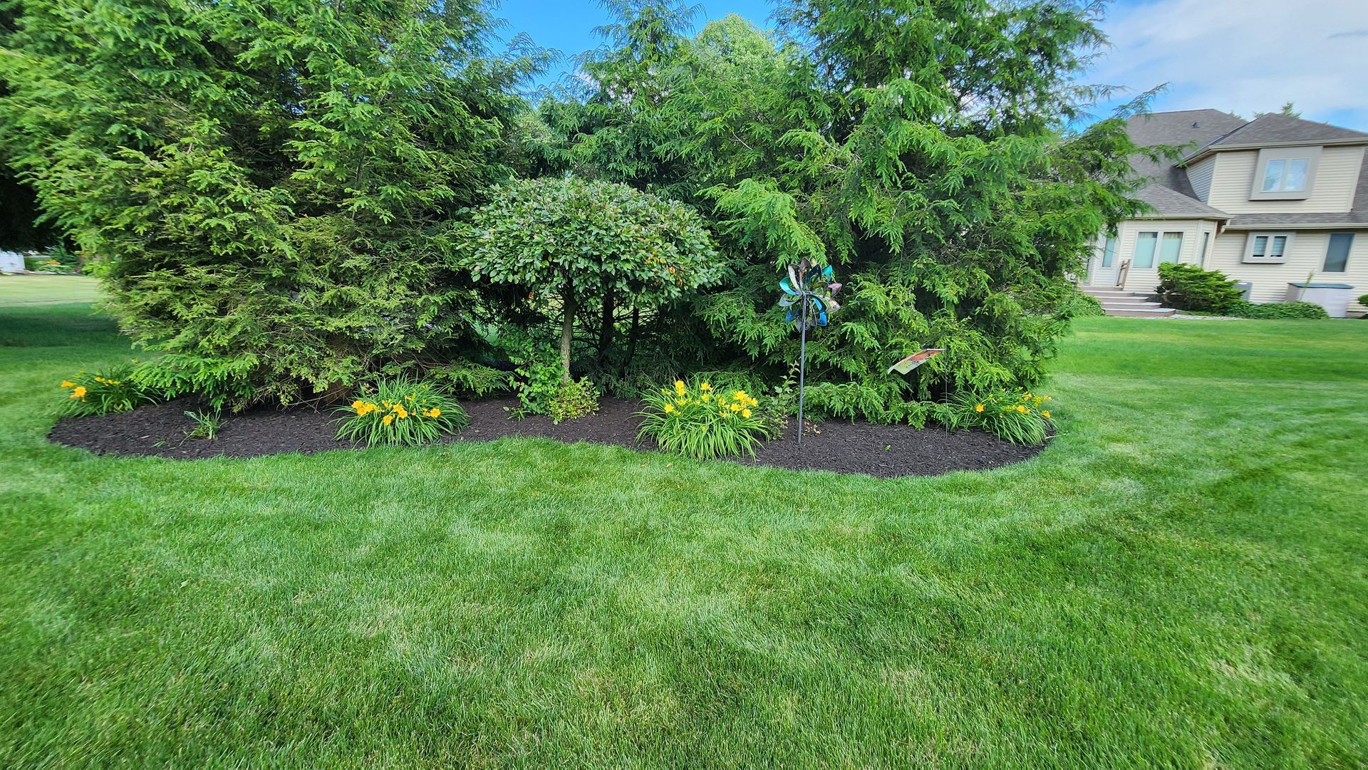 A lush green lawn with trees and flowers in front of a house.