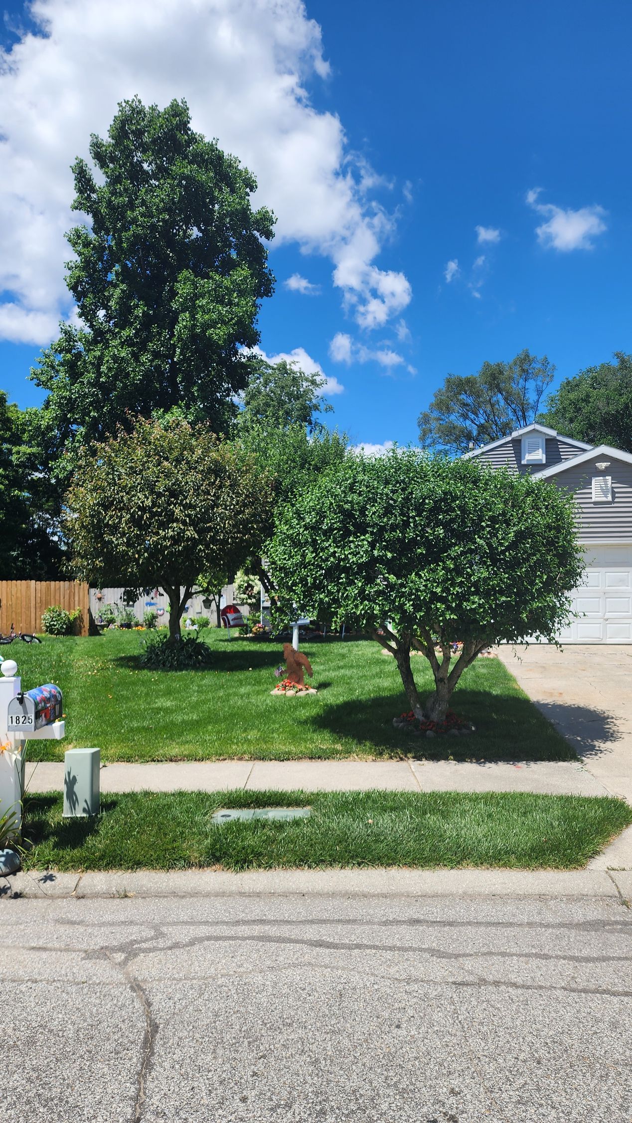 A lush green yard with trees and bushes in front of a house on a sunny day.