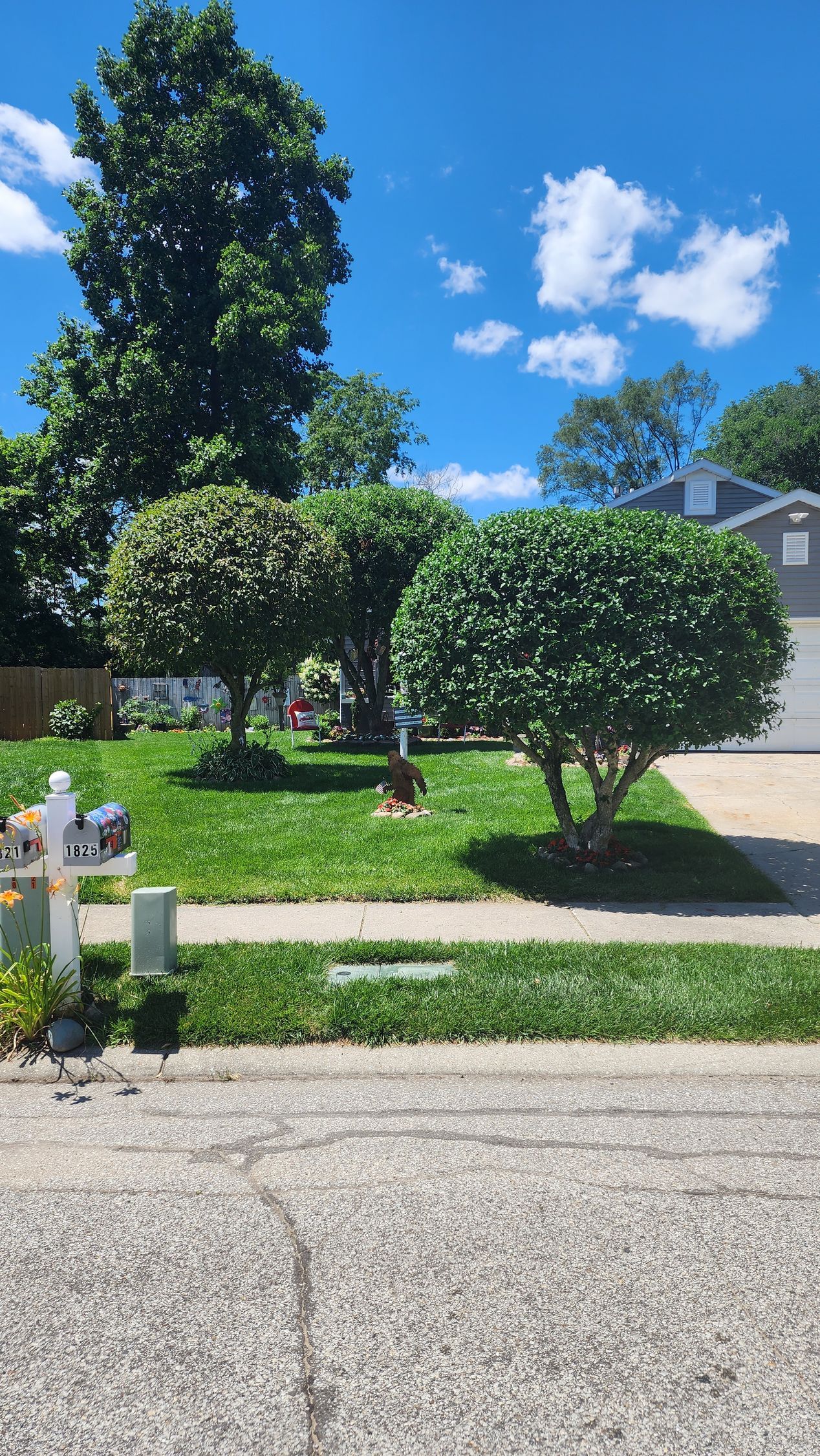 A lush green lawn with trees and bushes in front of a house on a sunny day.