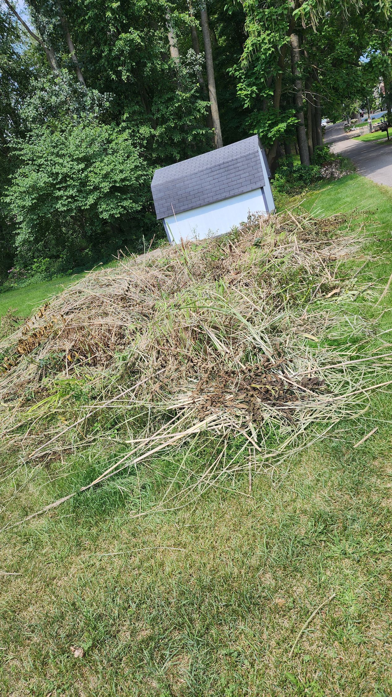 A pile of grass is sitting on top of a grassy hill next to a garage.