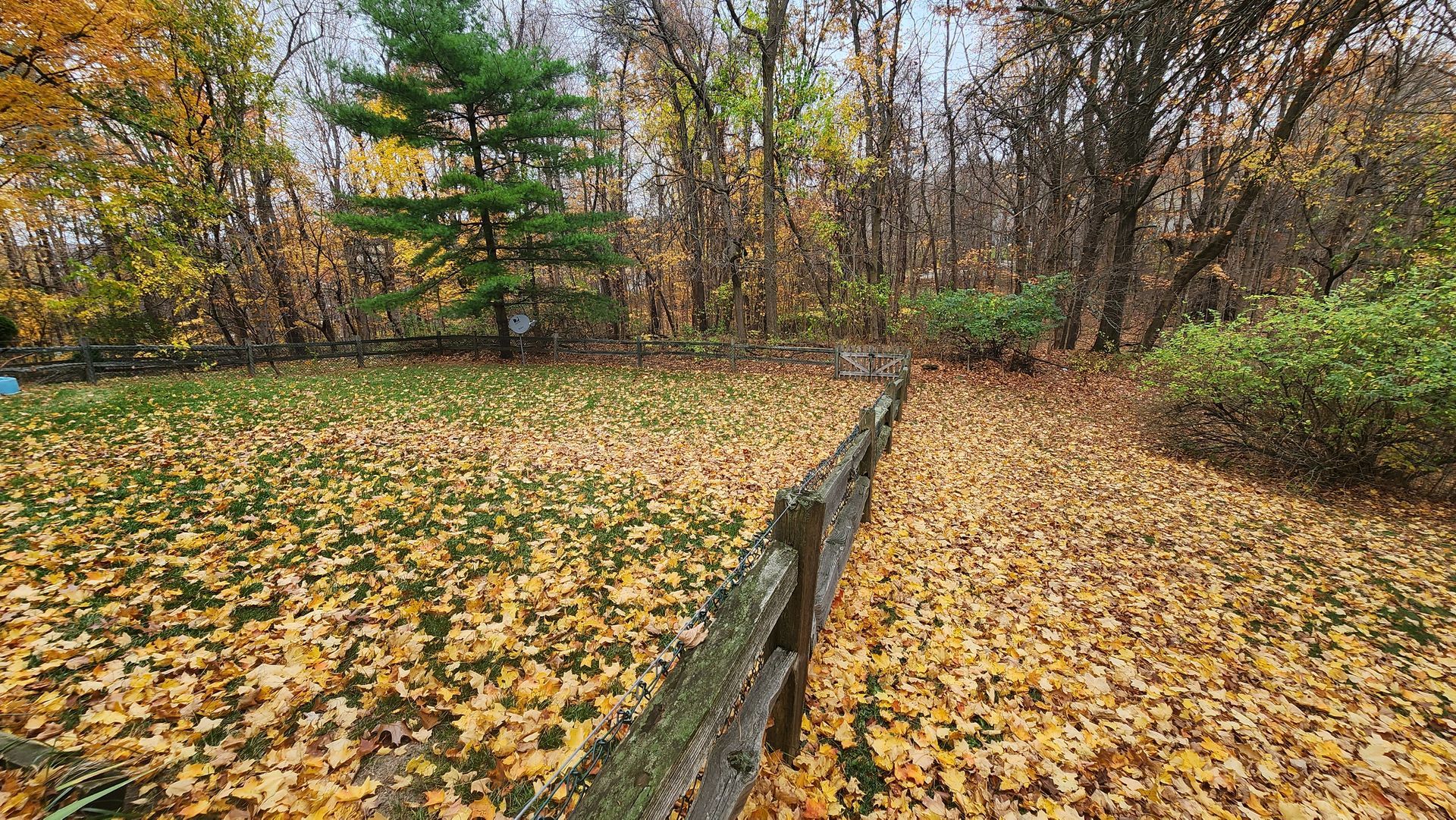 A wooden fence surrounded by leaves in a park.