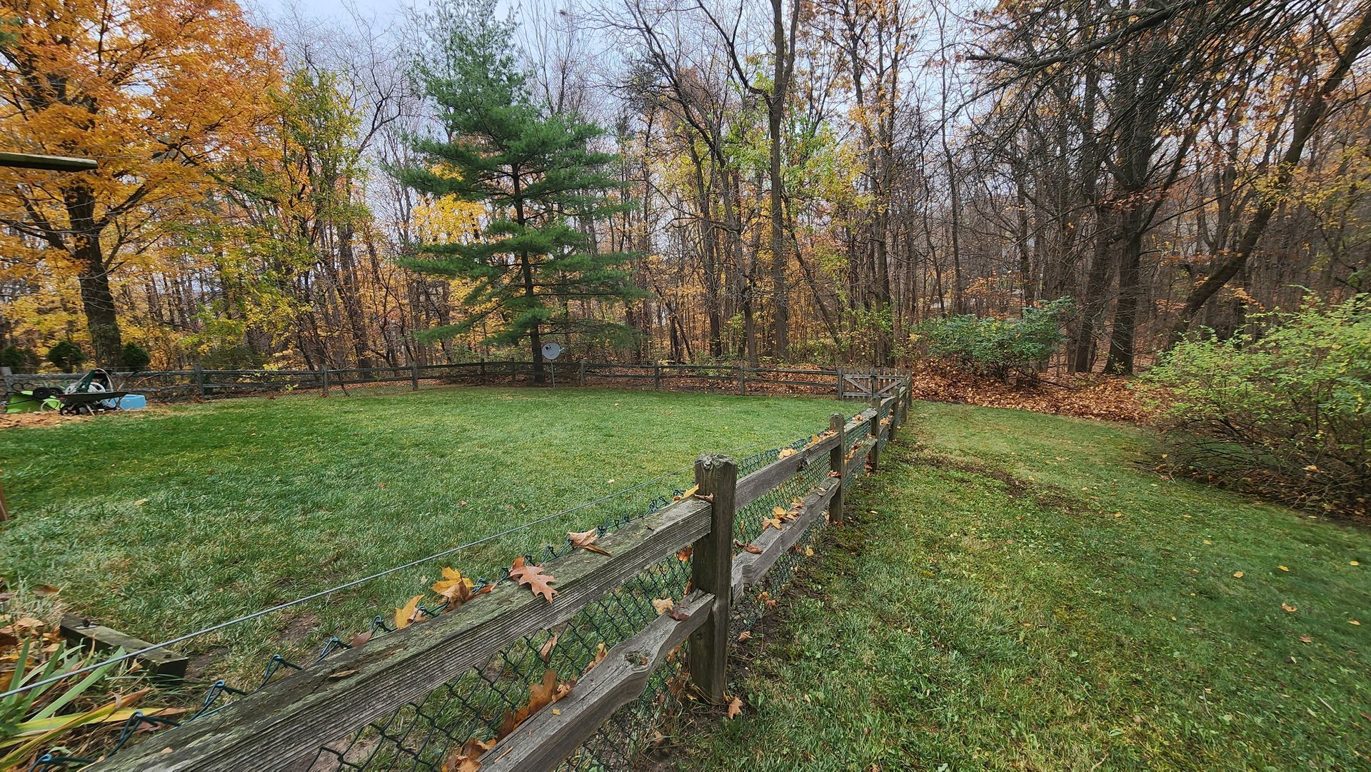 A wooden fence surrounds a lush green field in the middle of a forest.