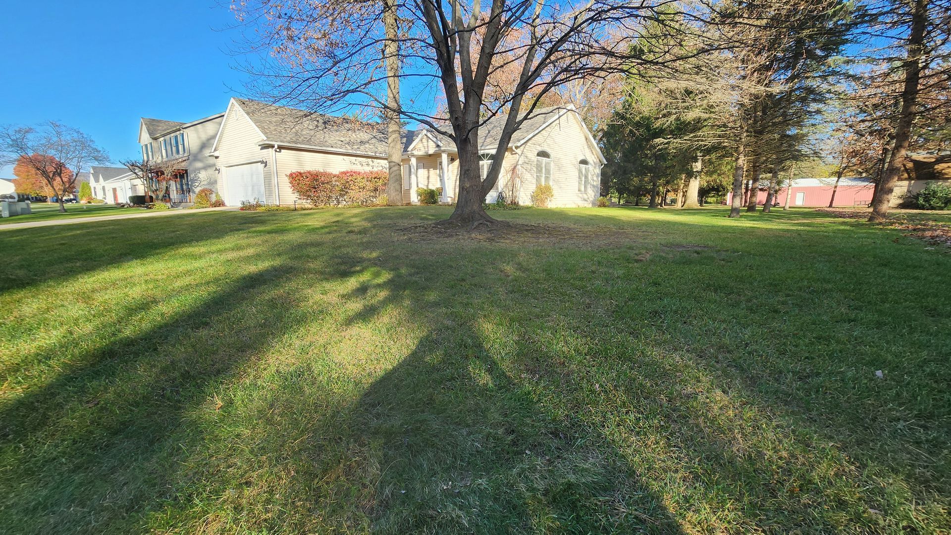 A large lawn with a house in the background and trees in the foreground.