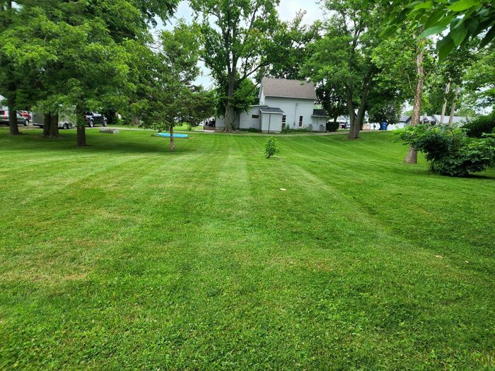 A lush green lawn with trees and a white house in the background.