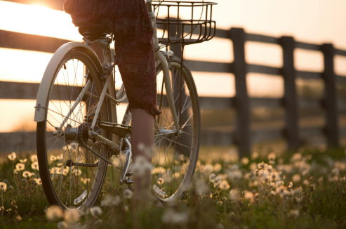 Joint-Friendly Exercises for Spring | PTCOA