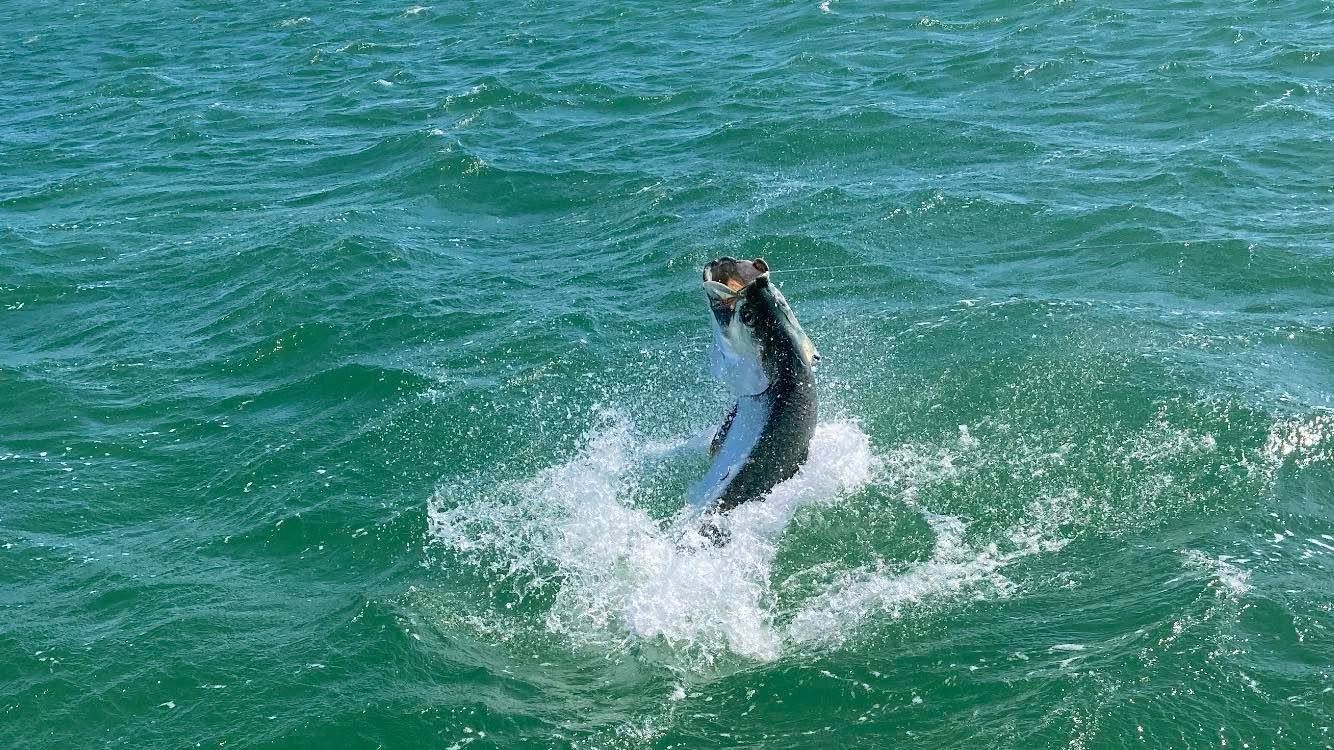 A person is riding a wave on a surfboard in the ocean.