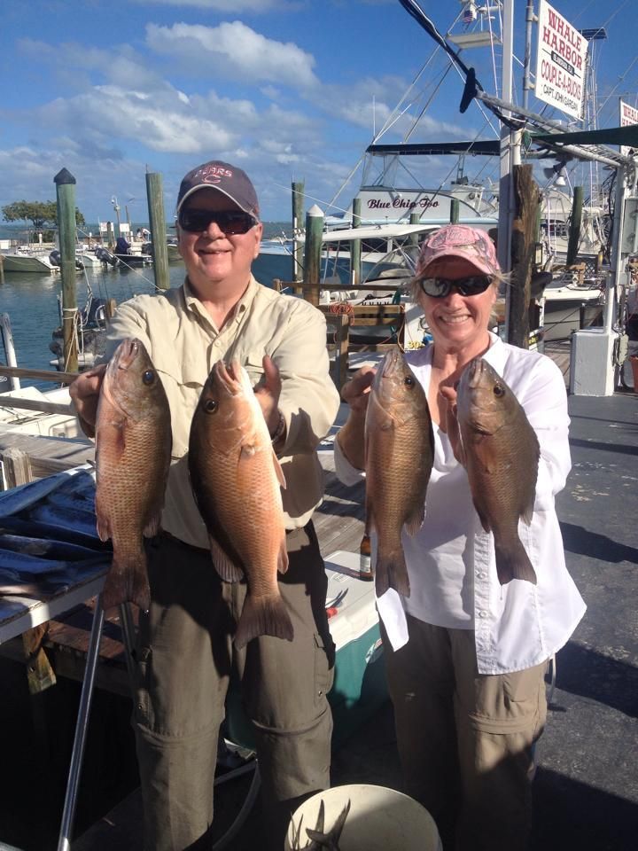 Two people smiling, holding up their fish catch near a dock on a sunny day.