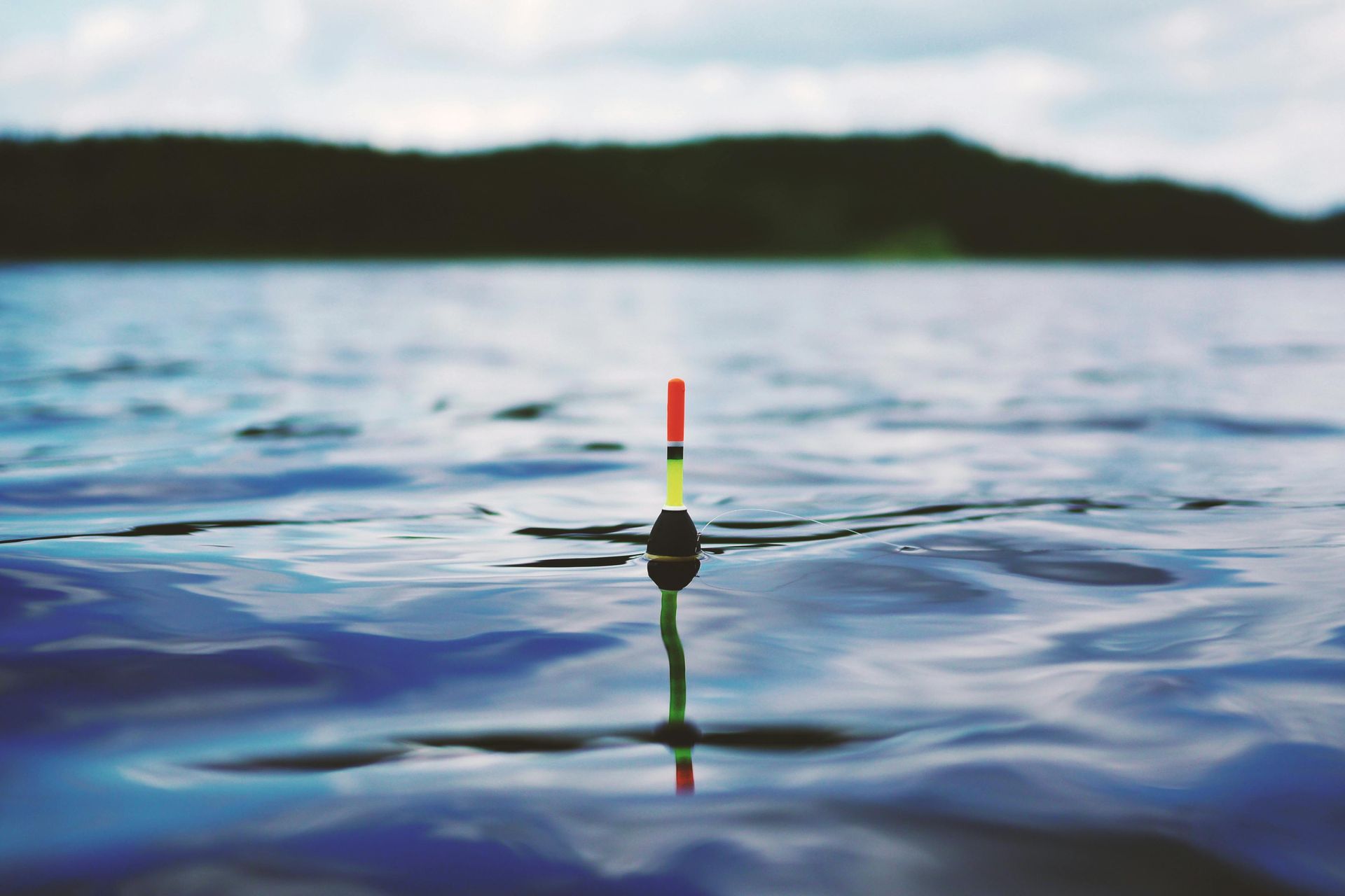 Fishing bobber floating on water; green stem, black and yellow middle, red top.