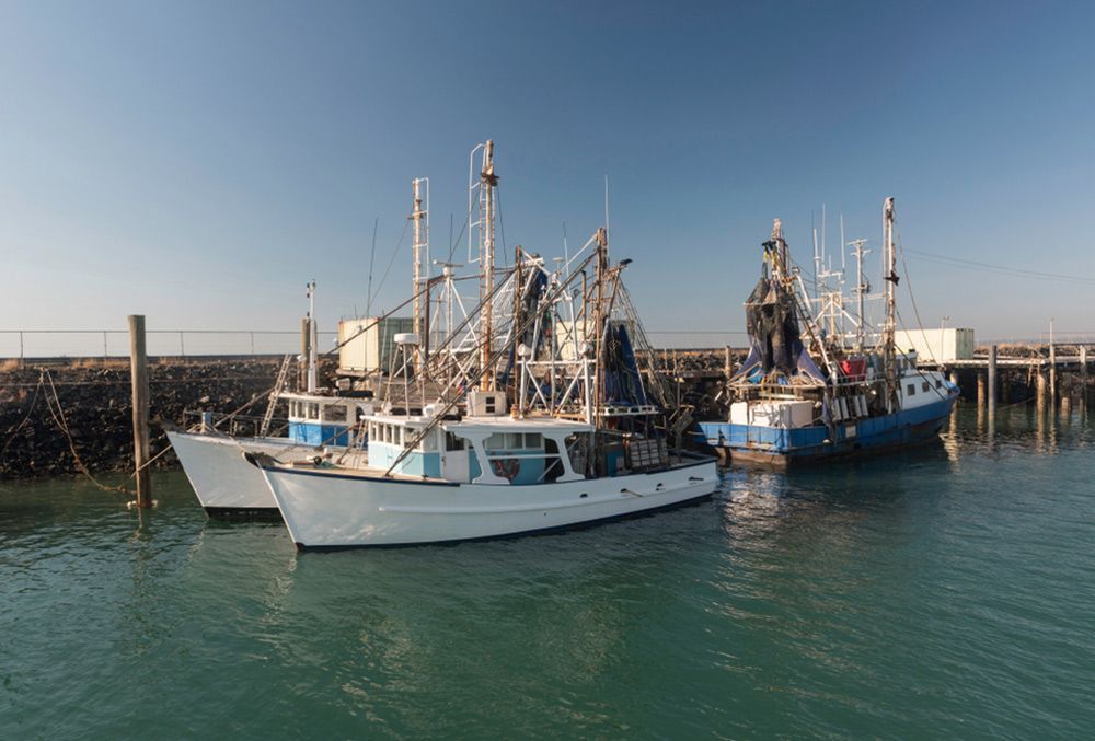 Boats moored at the harbour in Hervey Bay — Painters in Hervey Bay, QLD