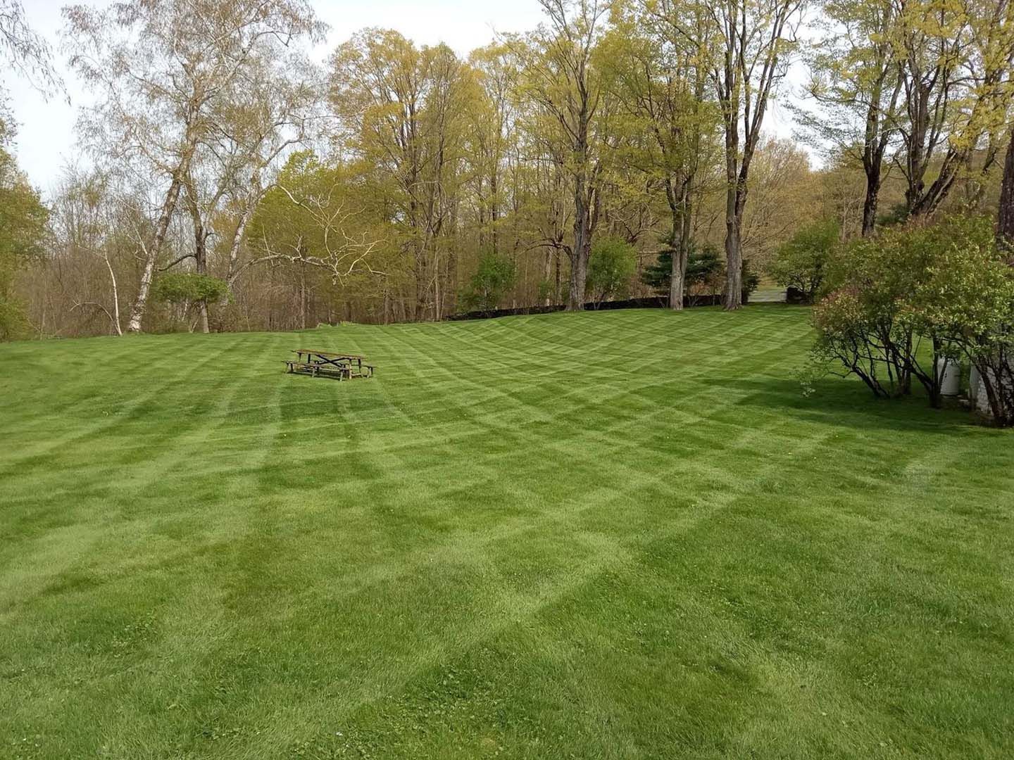 A lush green lawn with trees in the background and a picnic table in the middle.