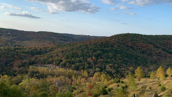 Rolling hills covered in autumn trees, with a blue sky and clouds overhead.