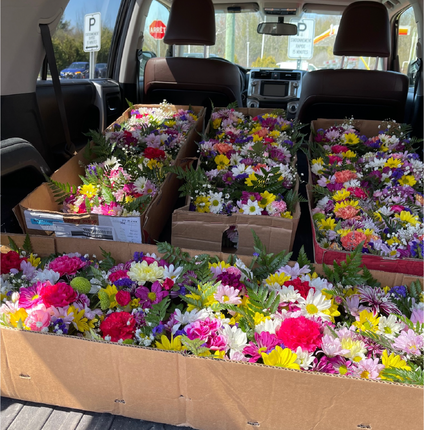 Plusieurs boîtes de fleurs se trouvent à l'arrière d'une voiture