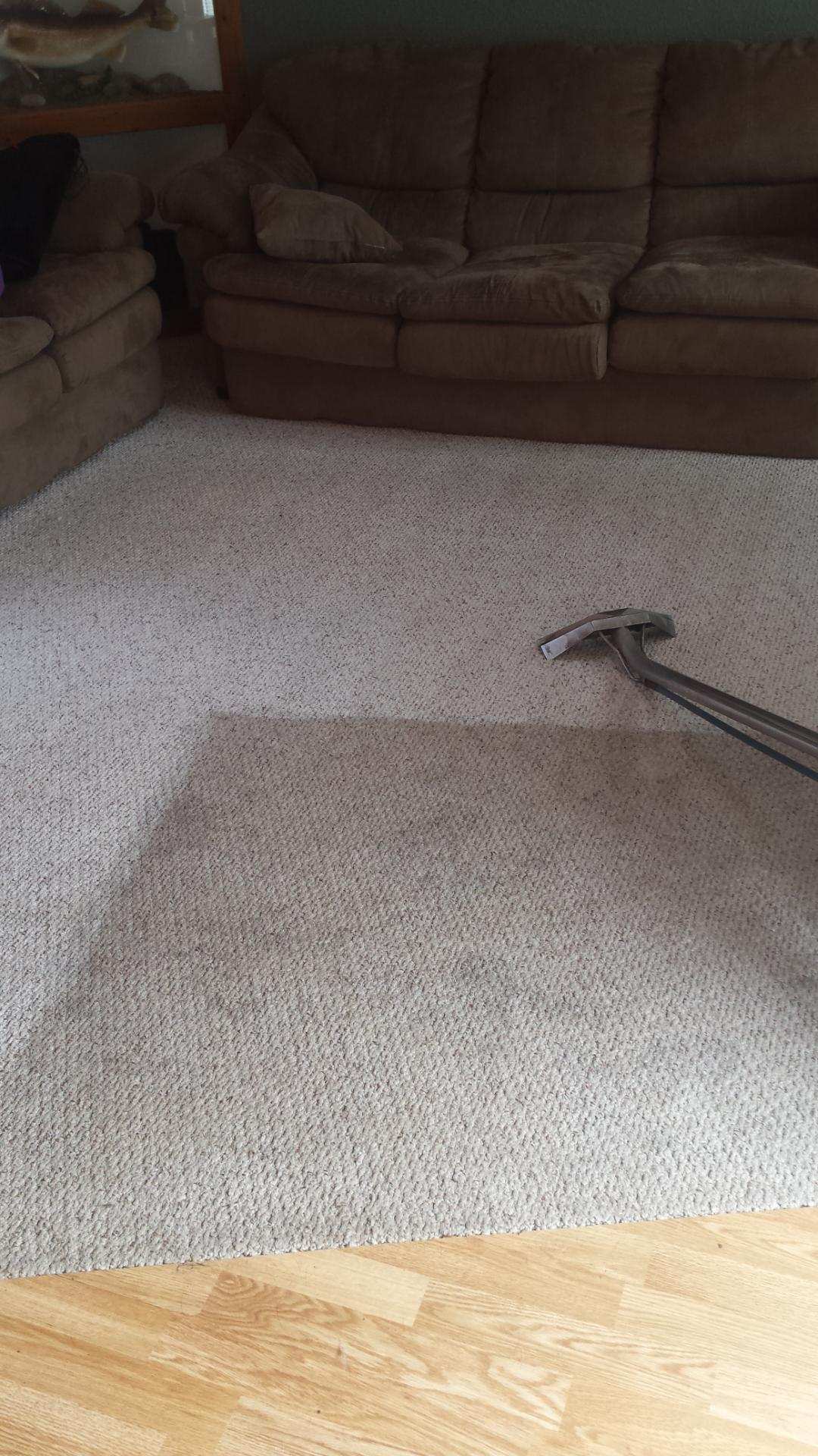 Carpet Cleaning