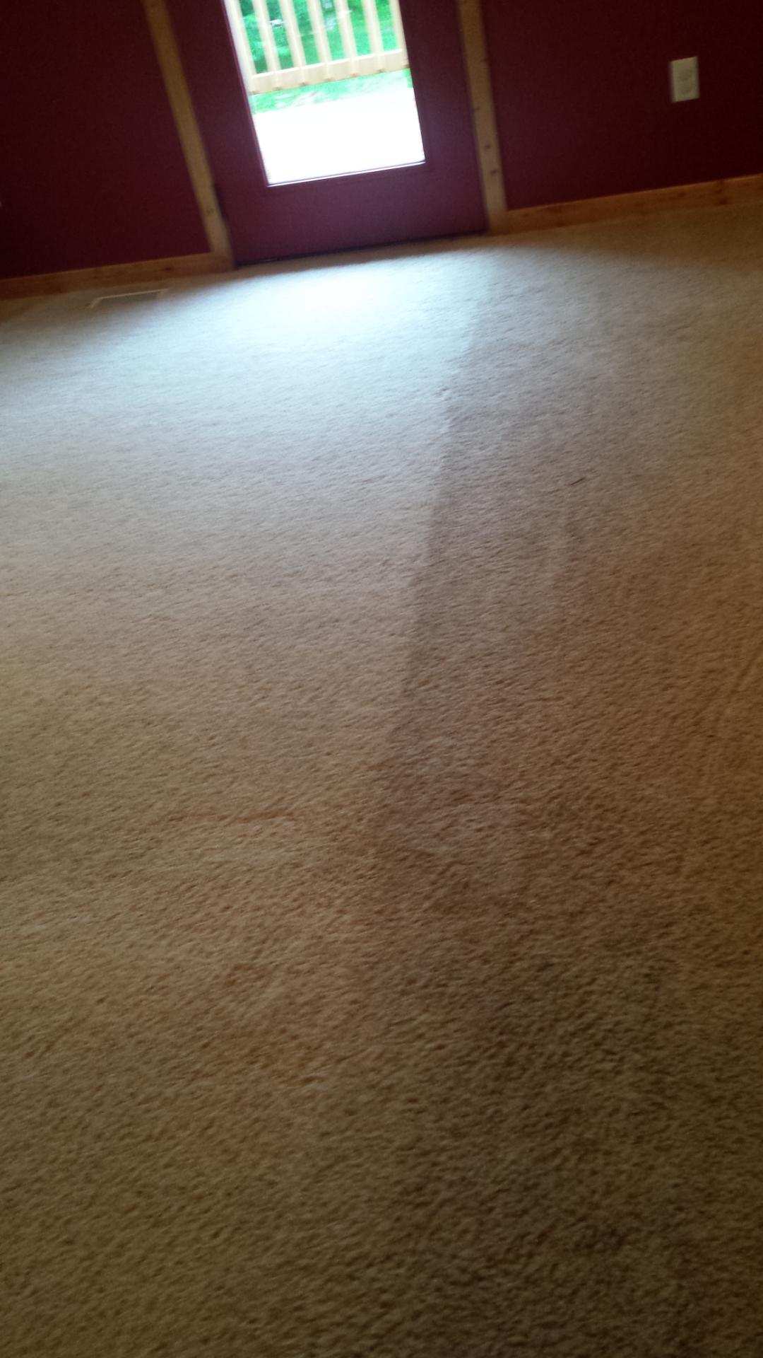 Carpet Cleaning