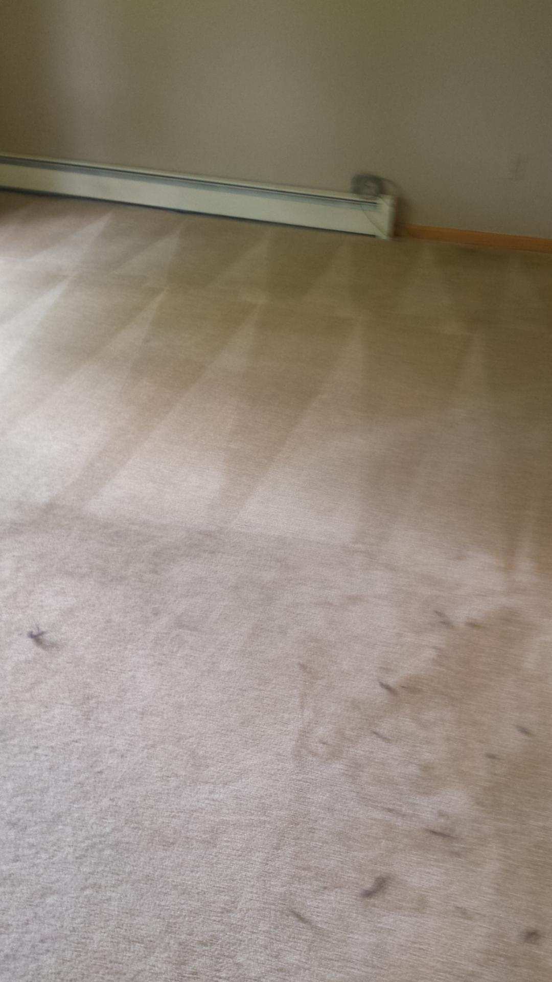 Carpet Cleaning