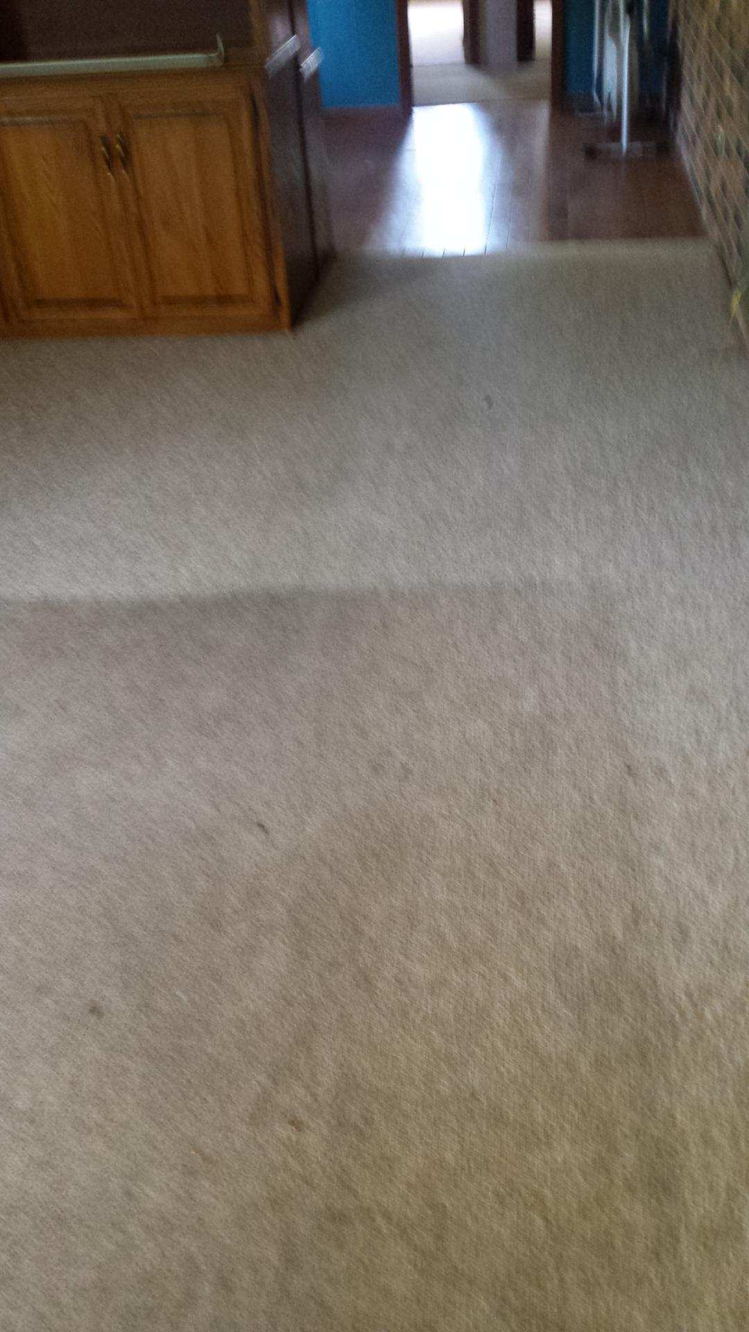 Carpet Cleaning