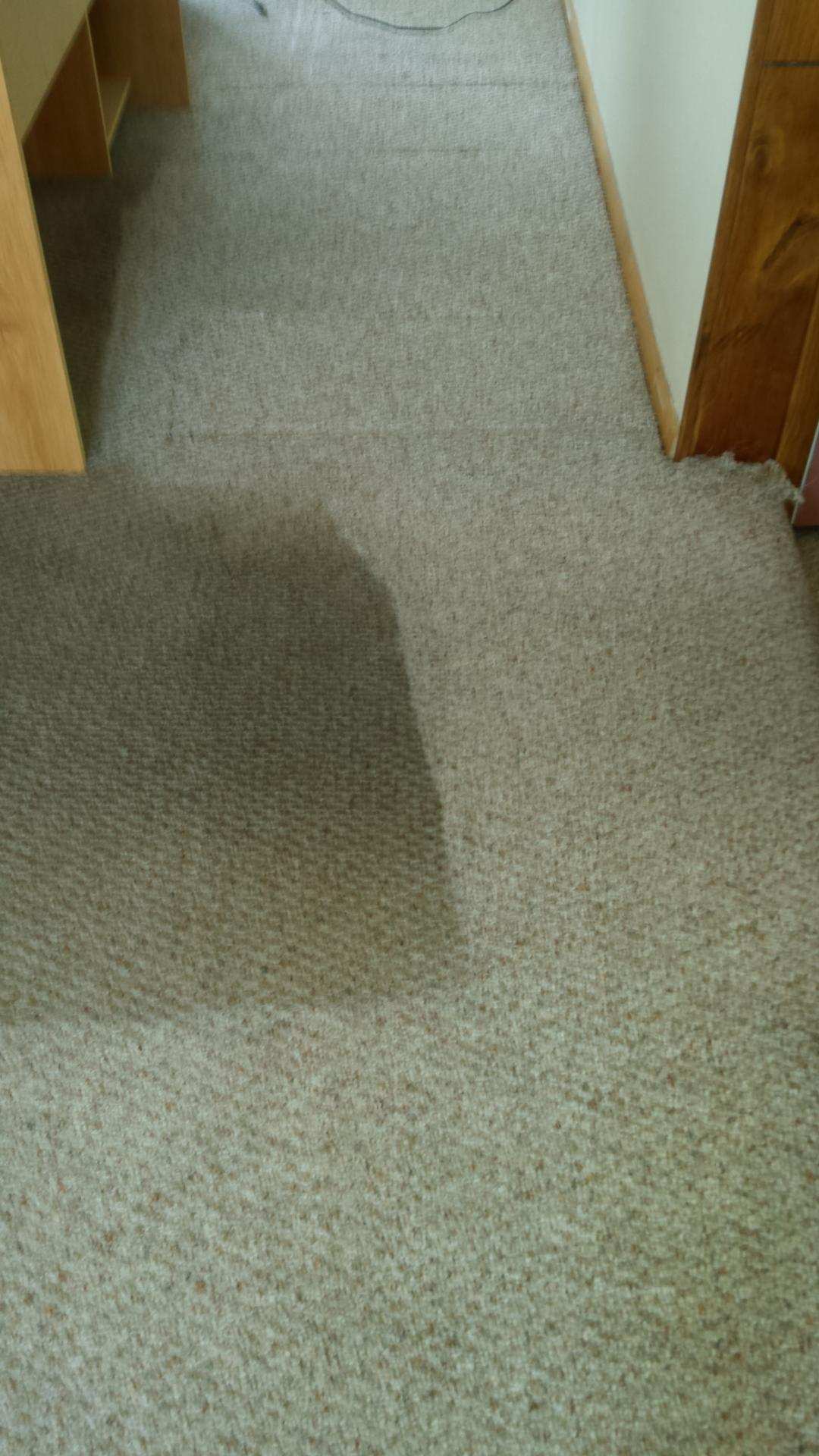Carpet Cleaning
