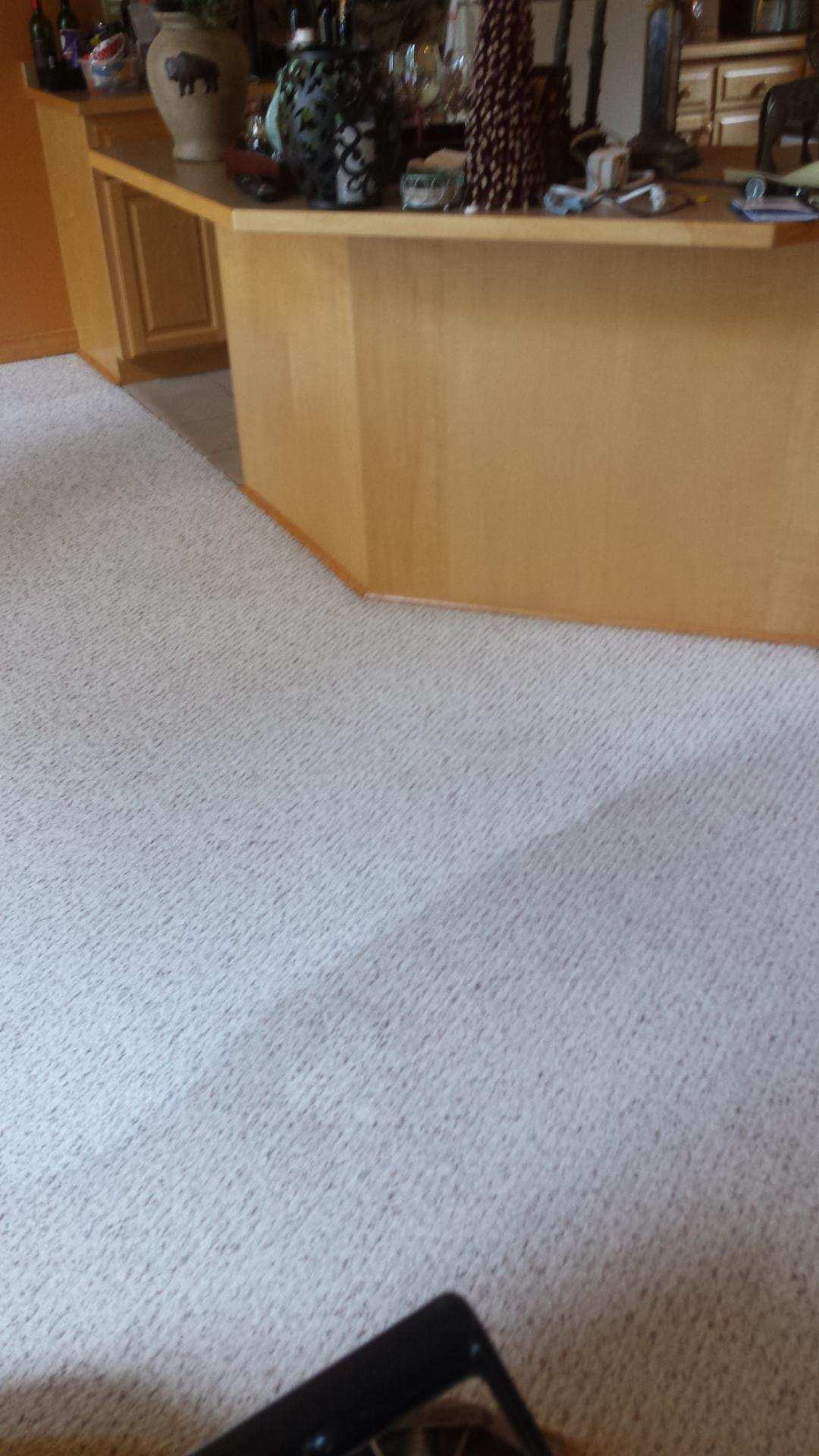 Carpet Cleaning
