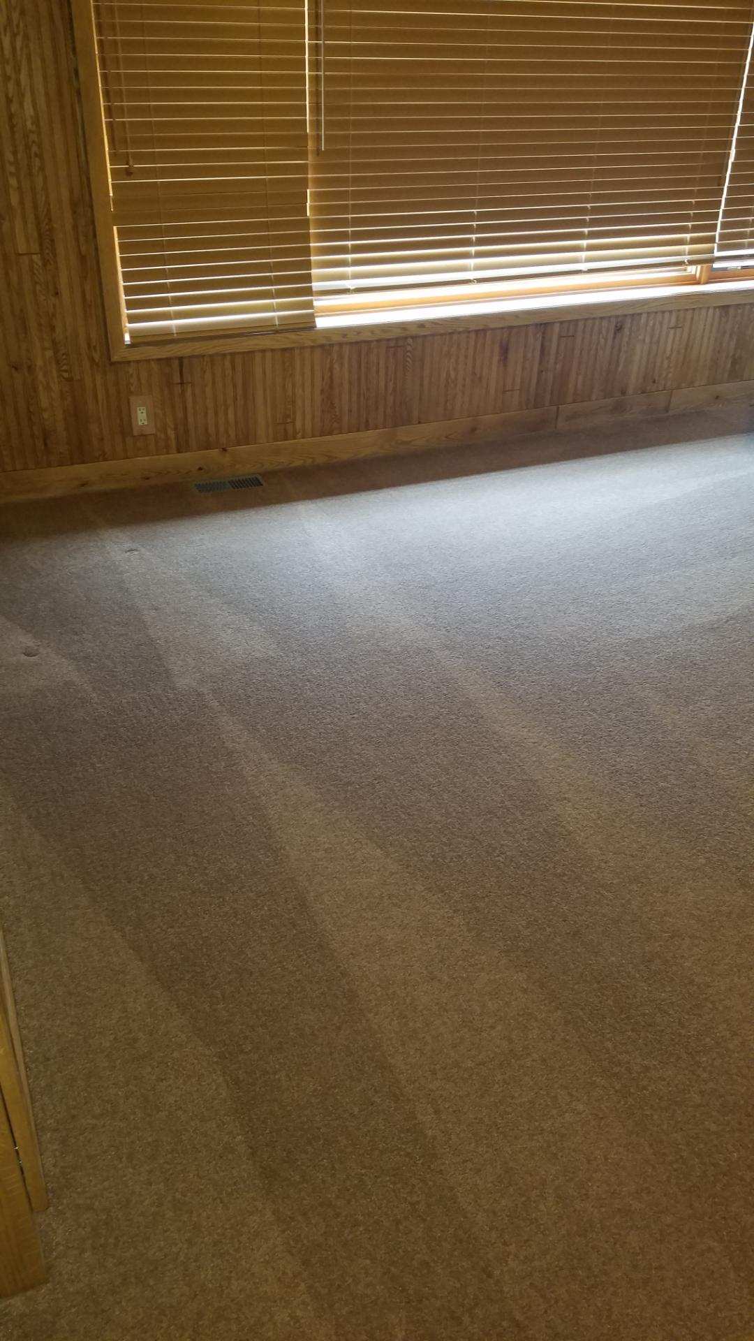 Carpet Cleaning