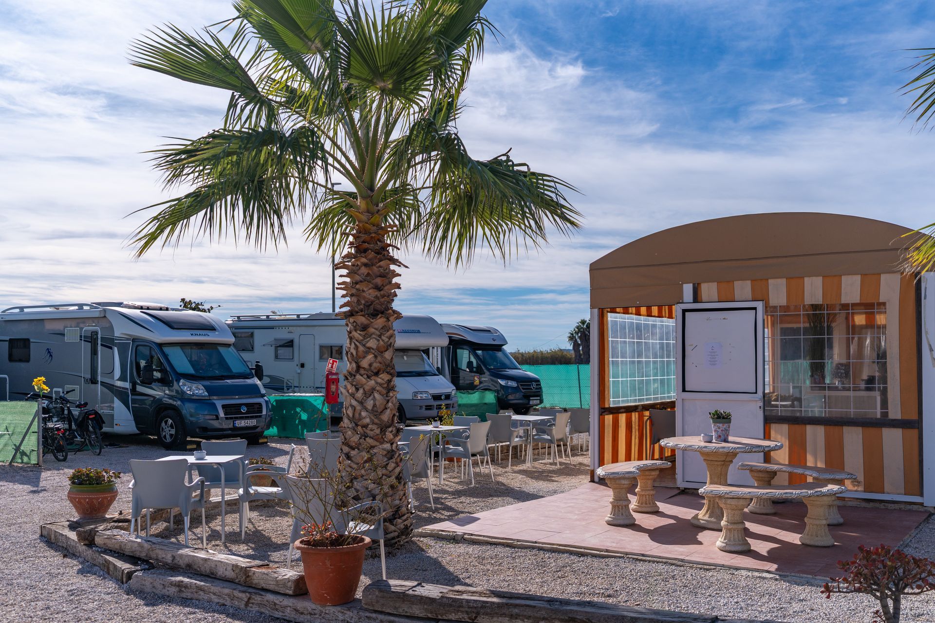 RV campground with parked motorhomes, a palm tree, and a small building with tables and chairs under a blue sky.