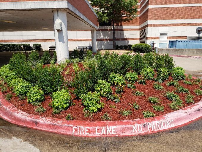 A red curb with the words fire lane no parking written on it