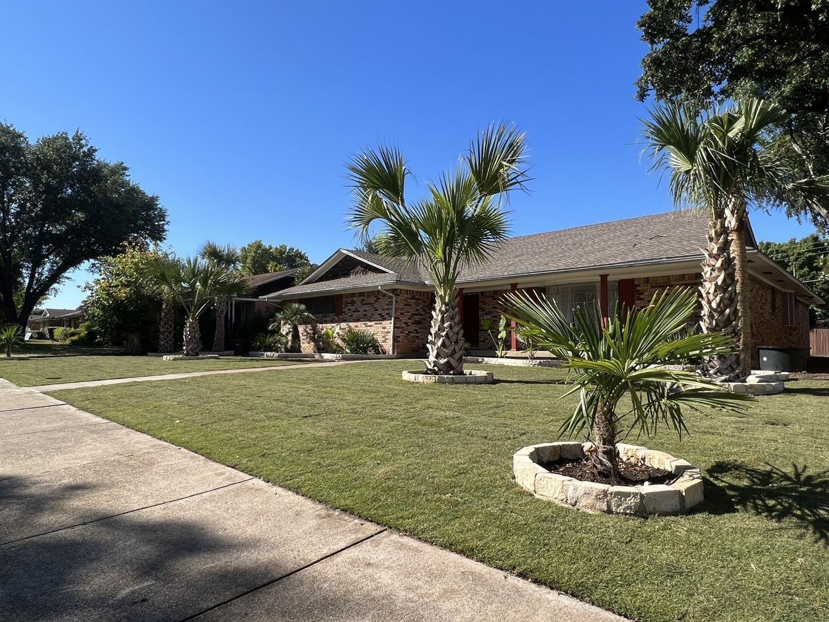 A house with a palm tree in front of it