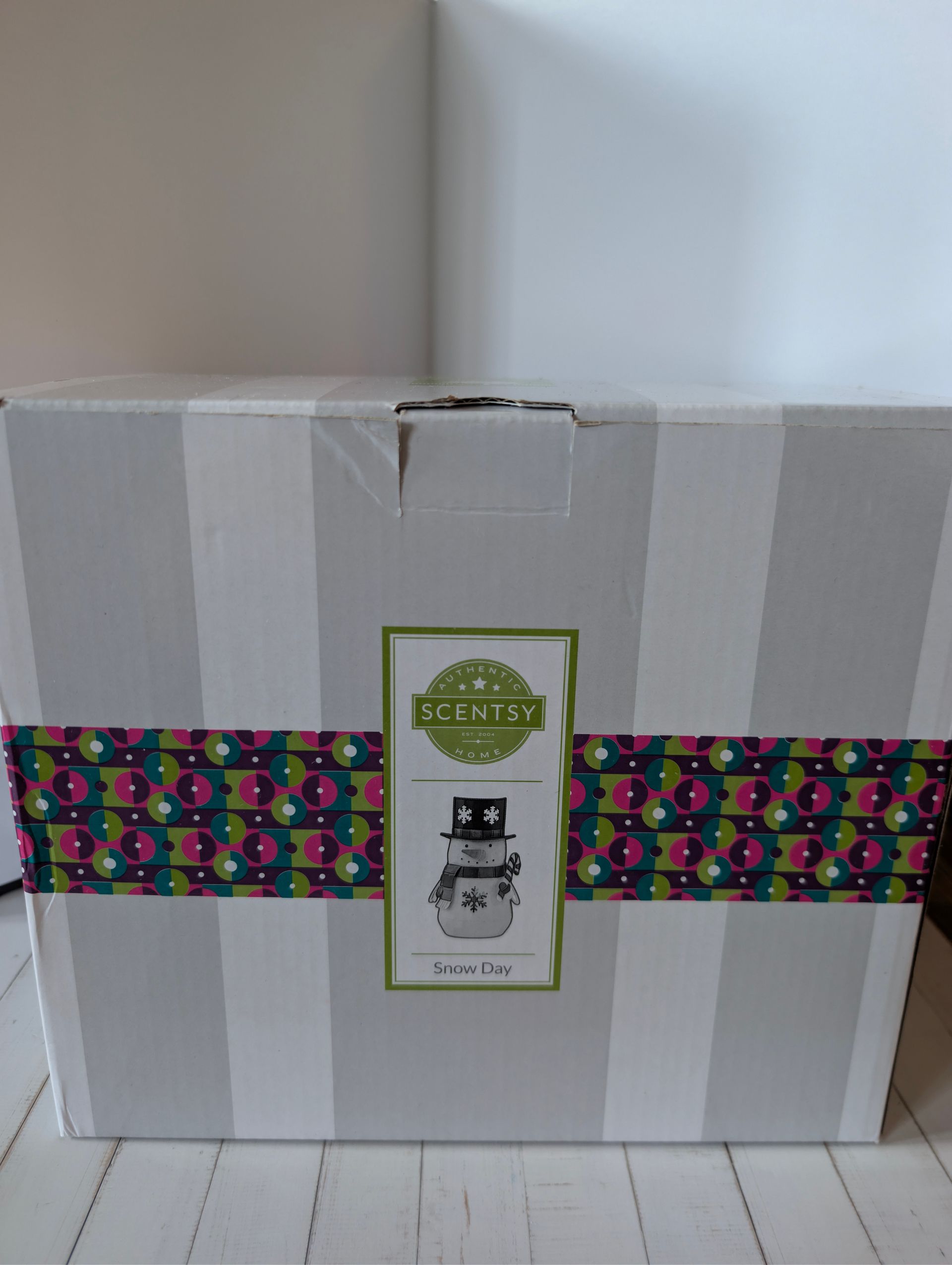 Scentsy warmer: Snow Day
