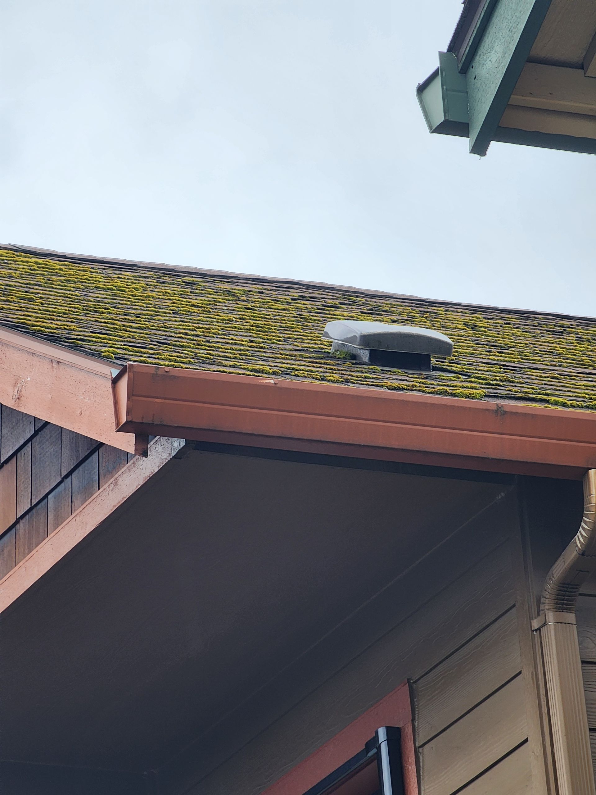 Before Roof Pressure Washing