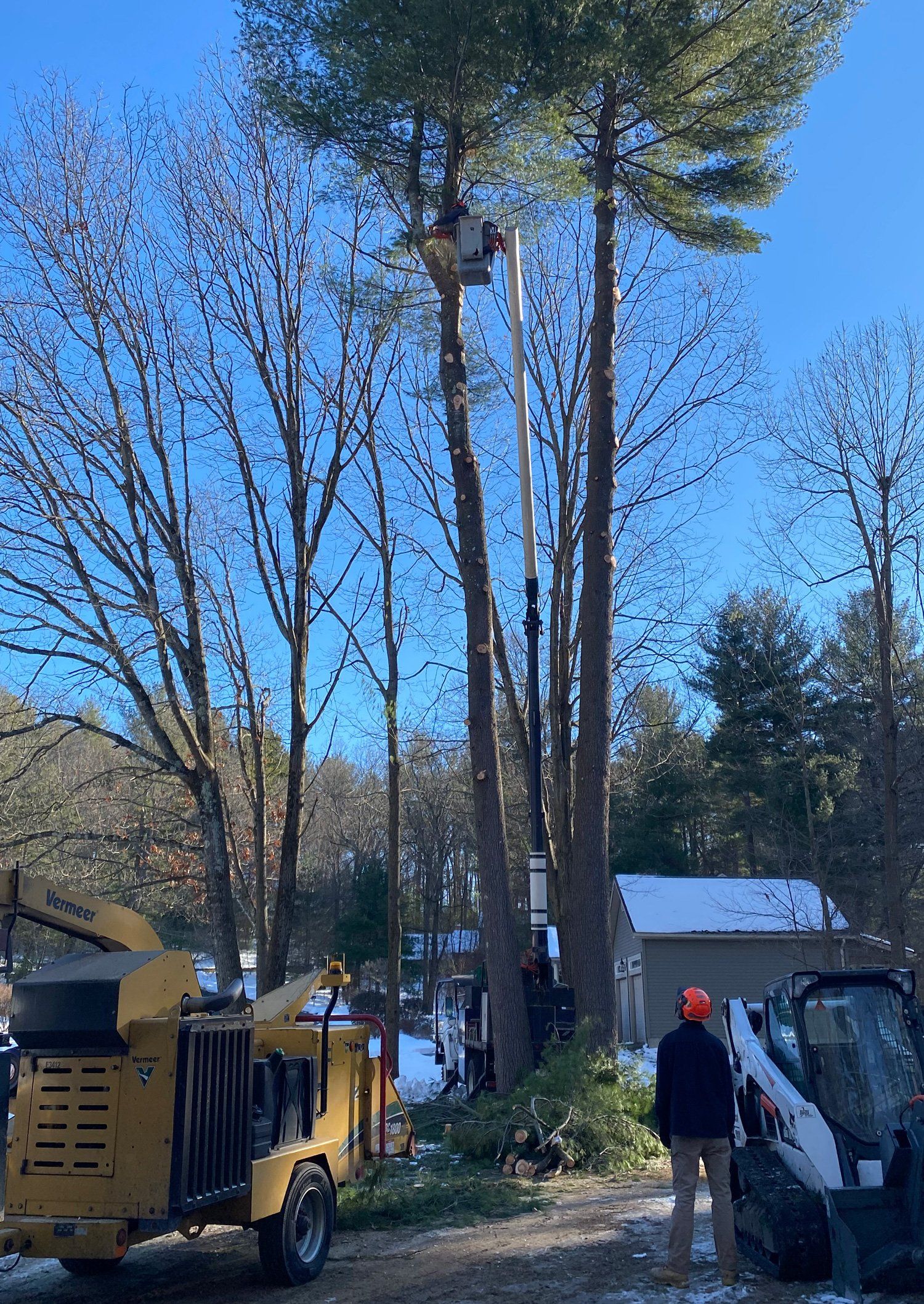 Placing log in truck - Tree Services in South Hadley, MA Placing log in truck - Tree Services in South Hadley, MA