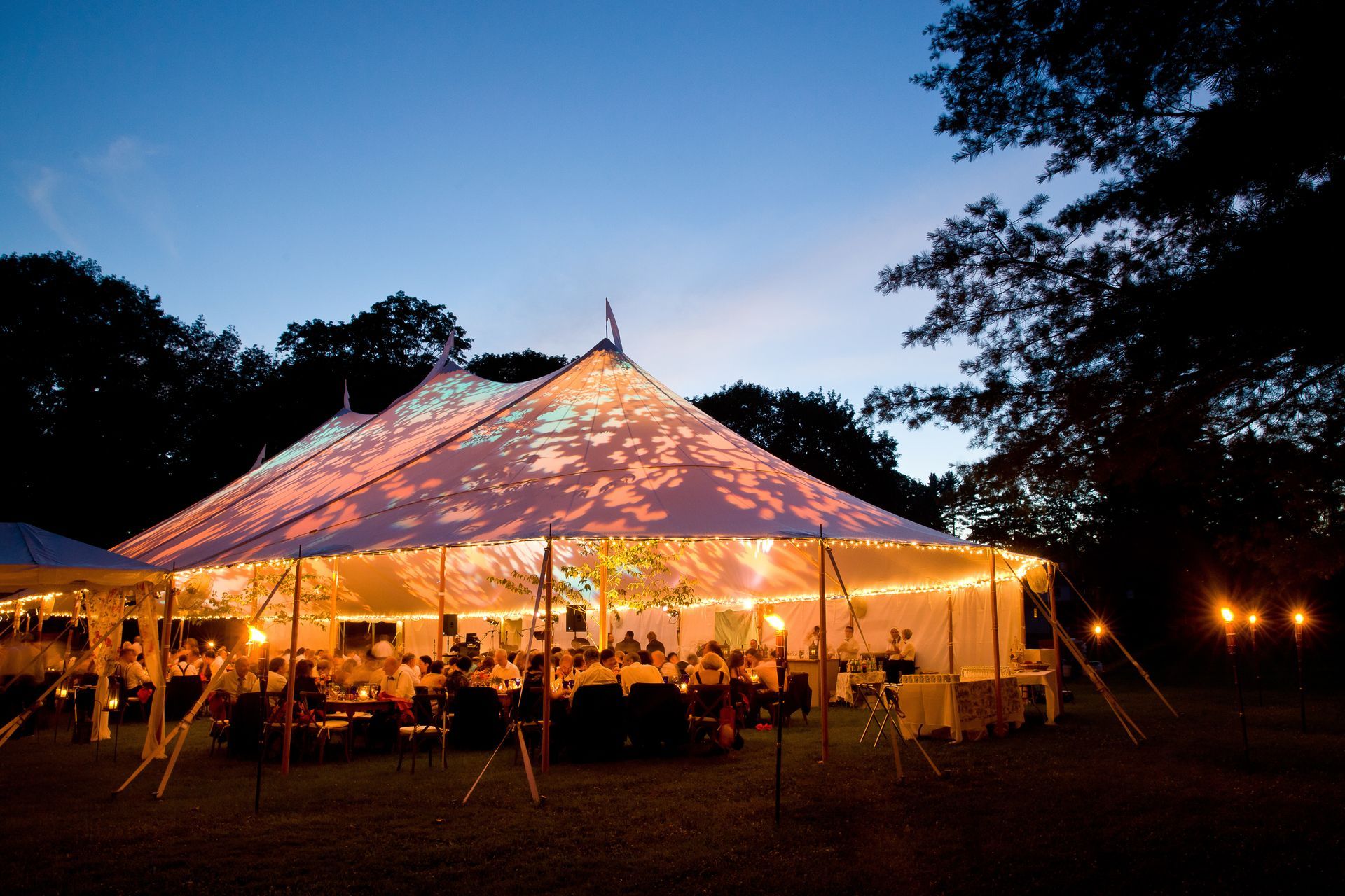A large, illuminated event tent glows at dusk with interior lighting and shadows of trees cast onto its canopy.