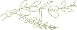A delicate, hand-drawn outline of a green botanical branch with rounded leaves and small flowers. A delicate, hand-drawn outline of a green botanical branch with rounded leaves and small flowers.