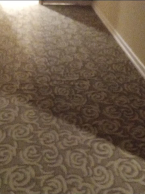 A carpeted hallway with a swirl pattern on it