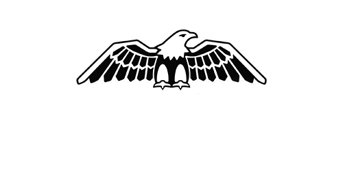 Black and white eagle with wings spread.