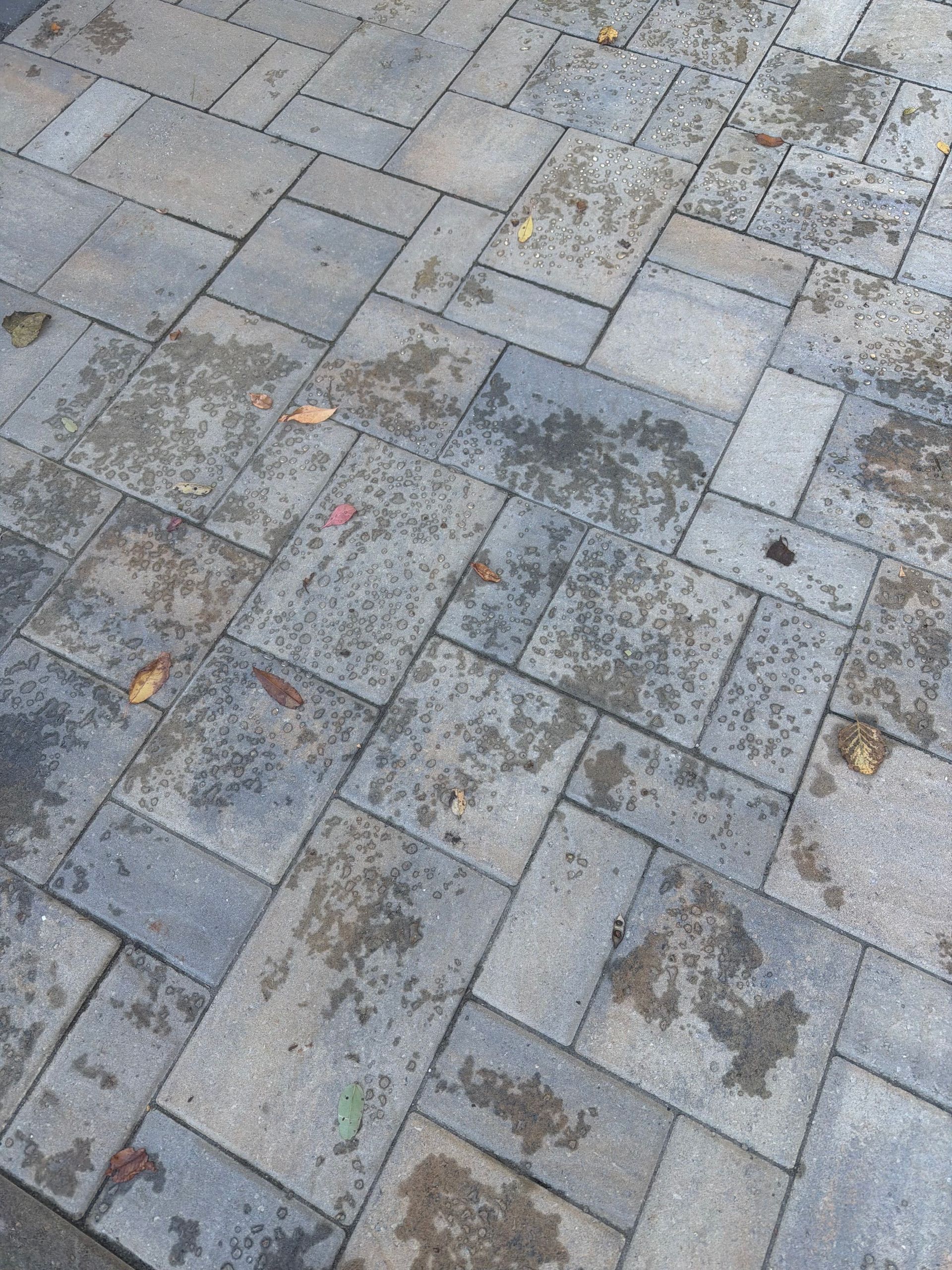 Austin and Sons Paver Protection. One Application. 10-Year Warranty.