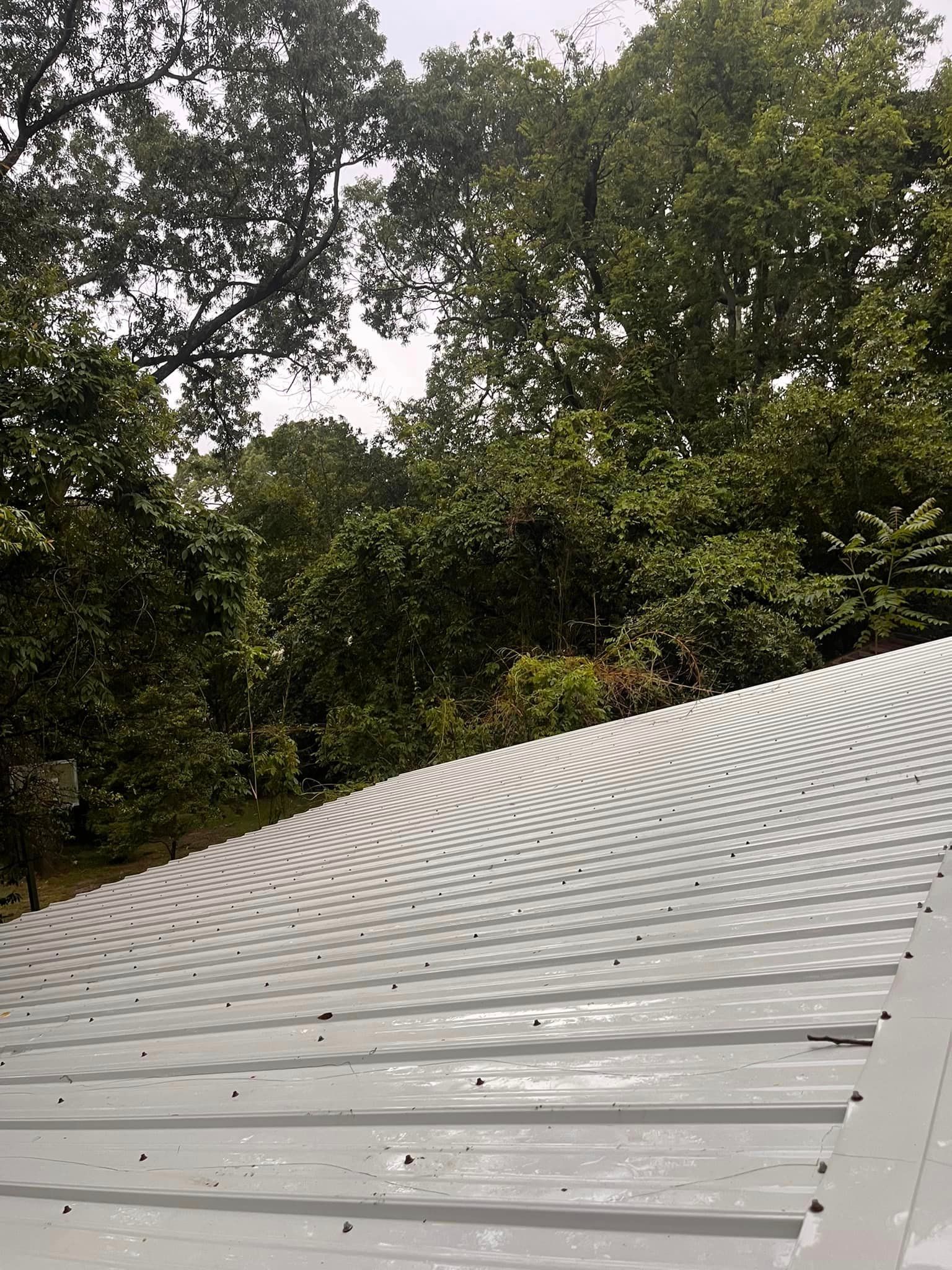 A white metal roof with trees in the background.