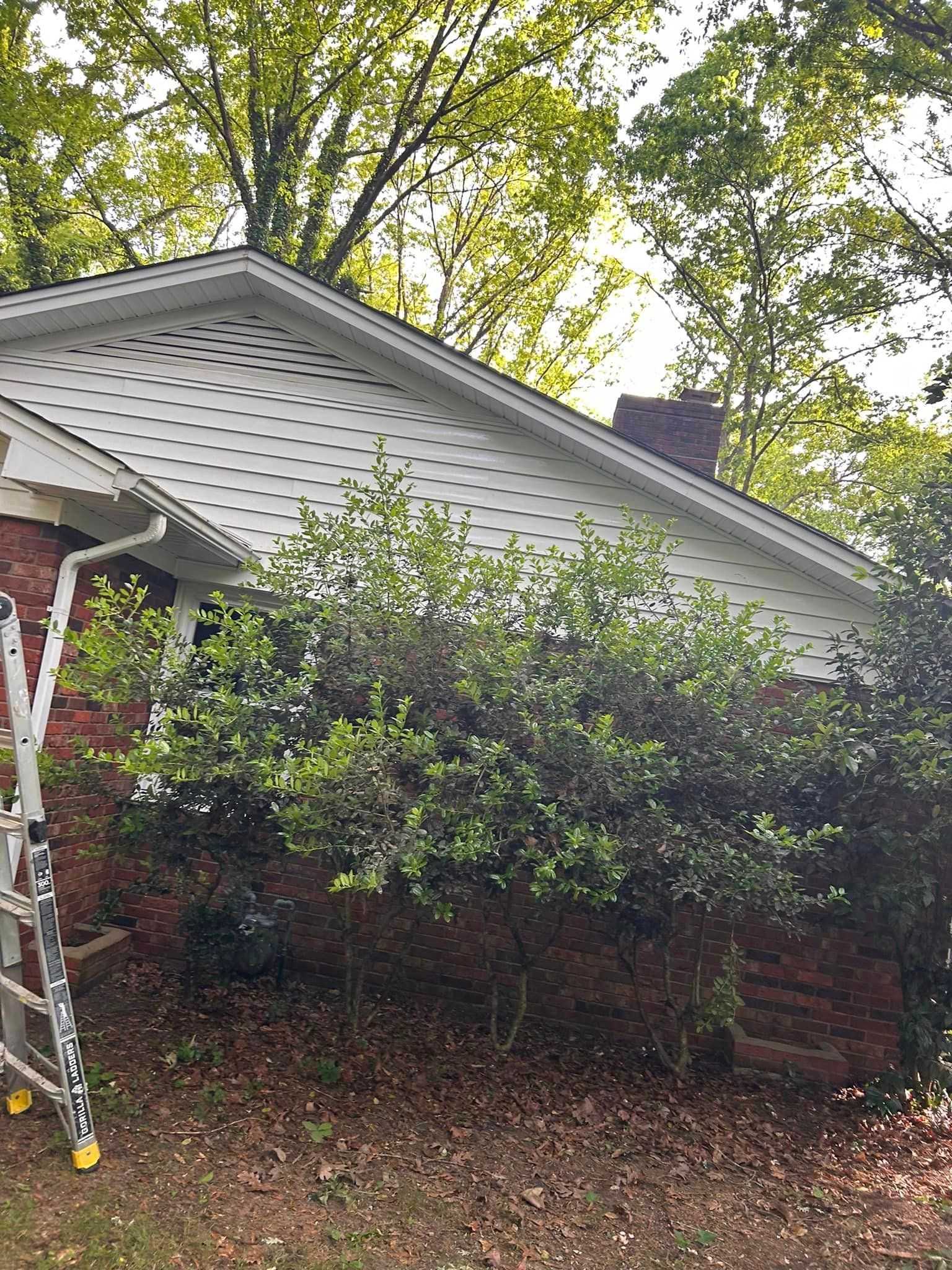 A ladder is sitting in front of a house with trees in the background.