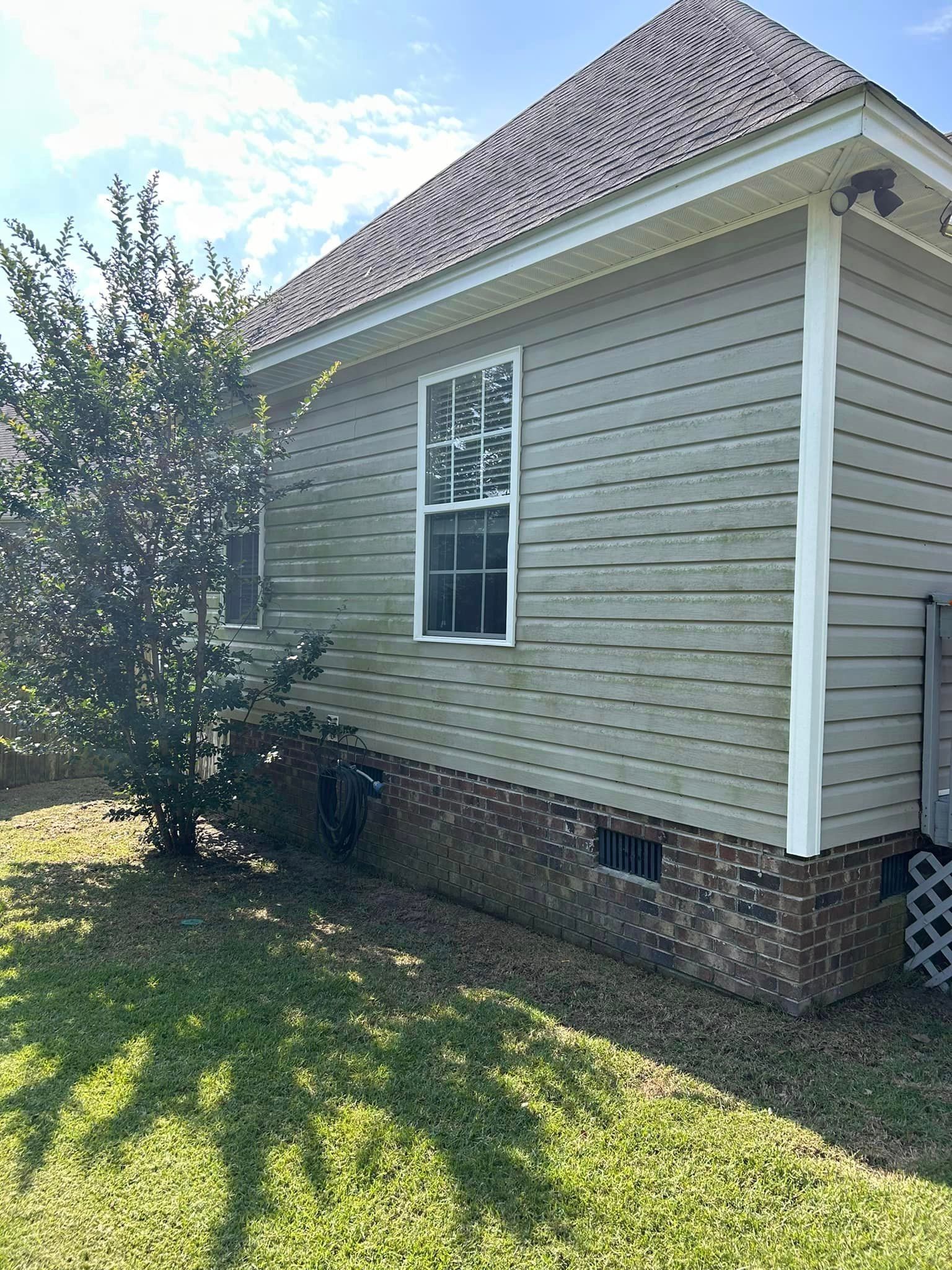 A house with a lot of windows and a tree in front of it.