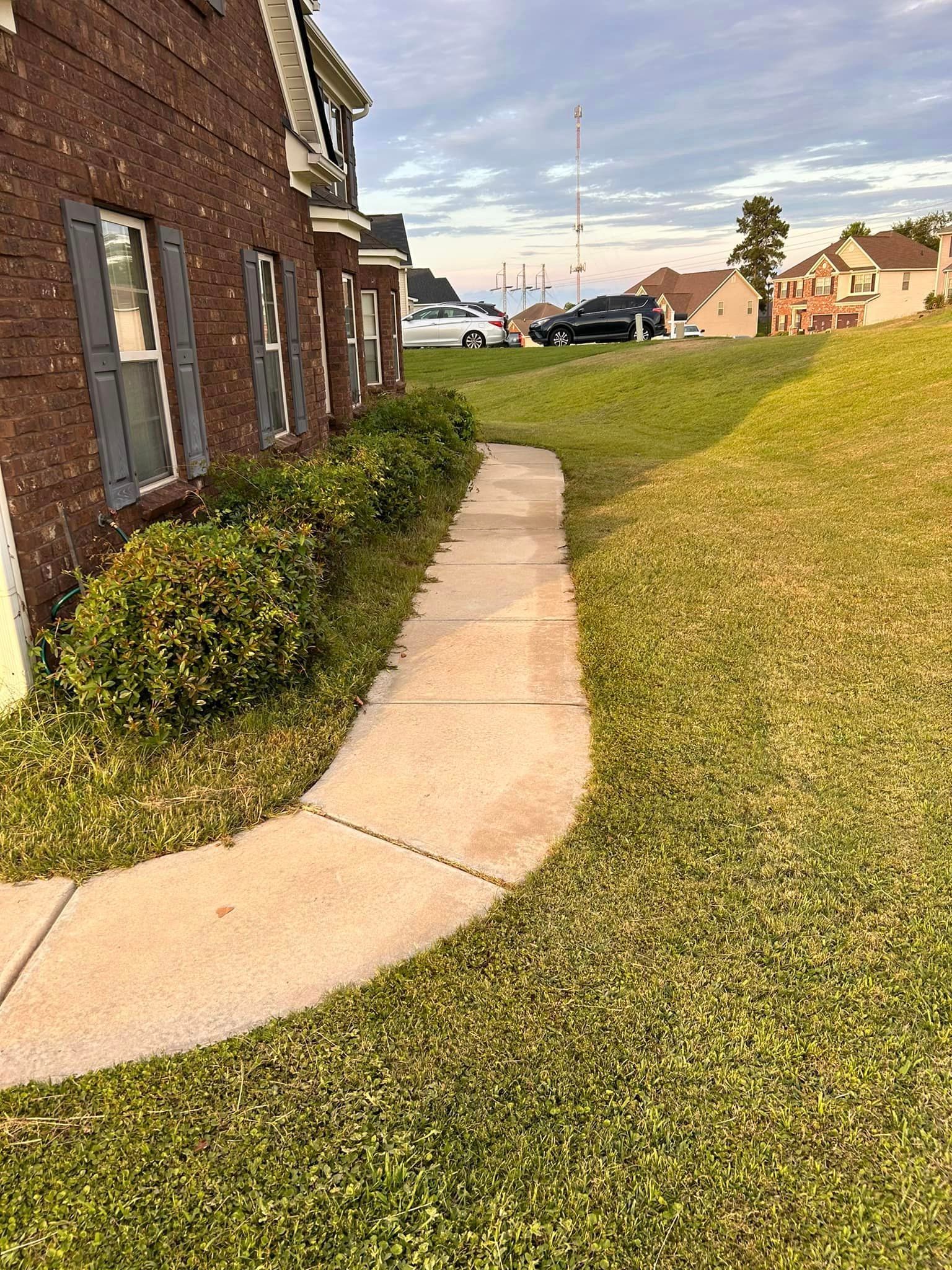 A sidewalk leading to a house in a residential area.