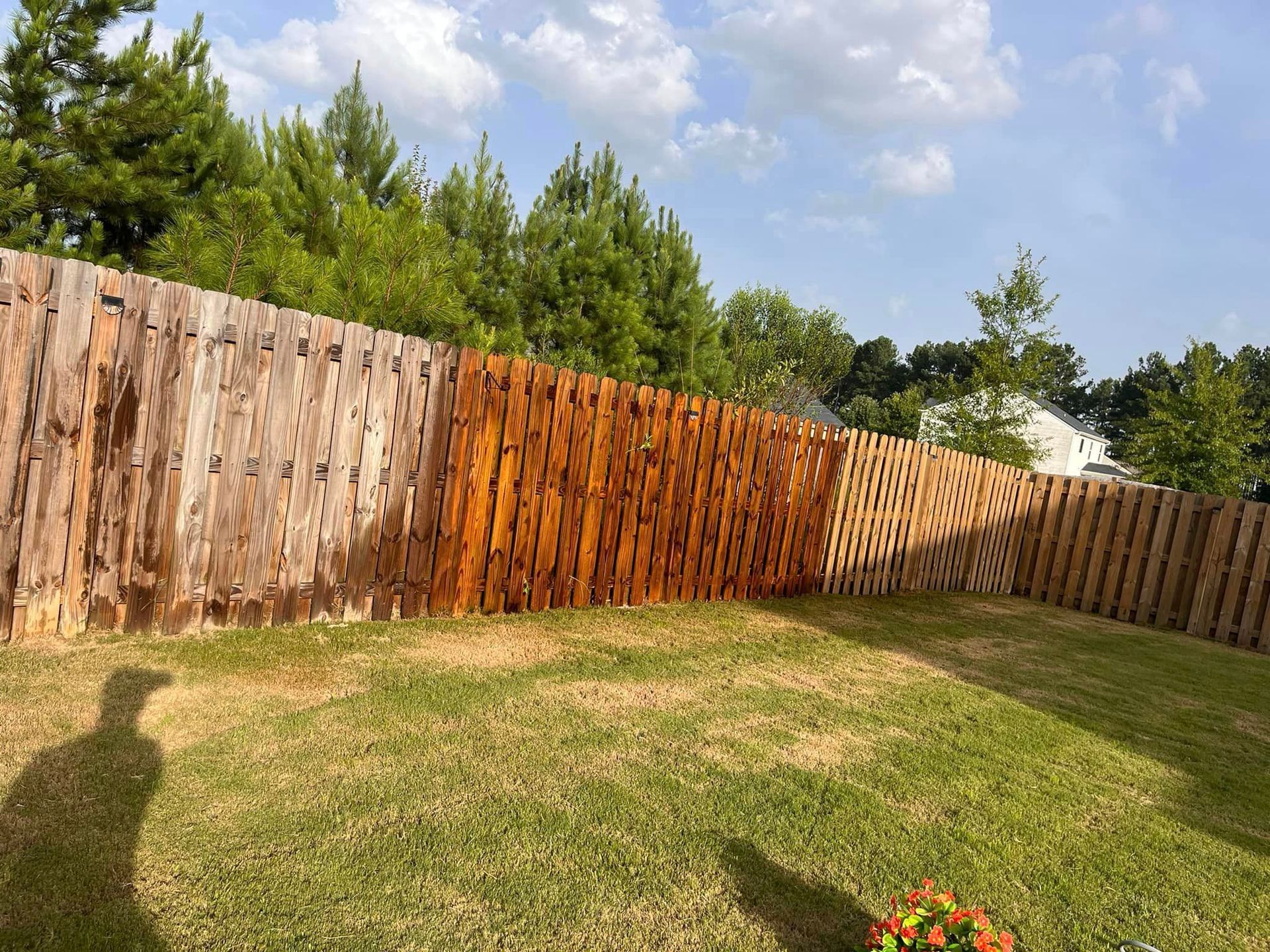 A wooden fence is being painted in a backyard.