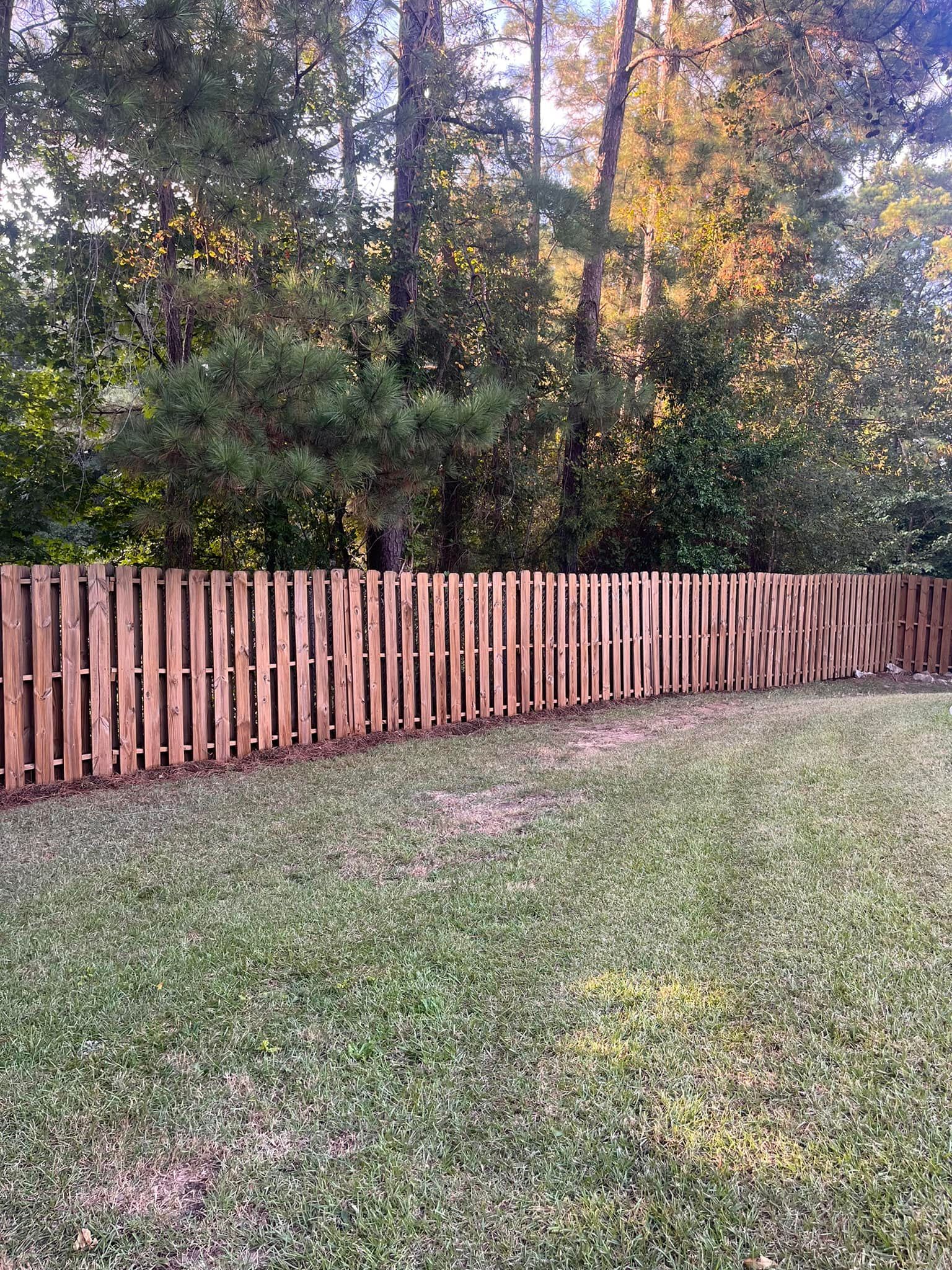 A wooden fence is surrounded by trees in a backyard.